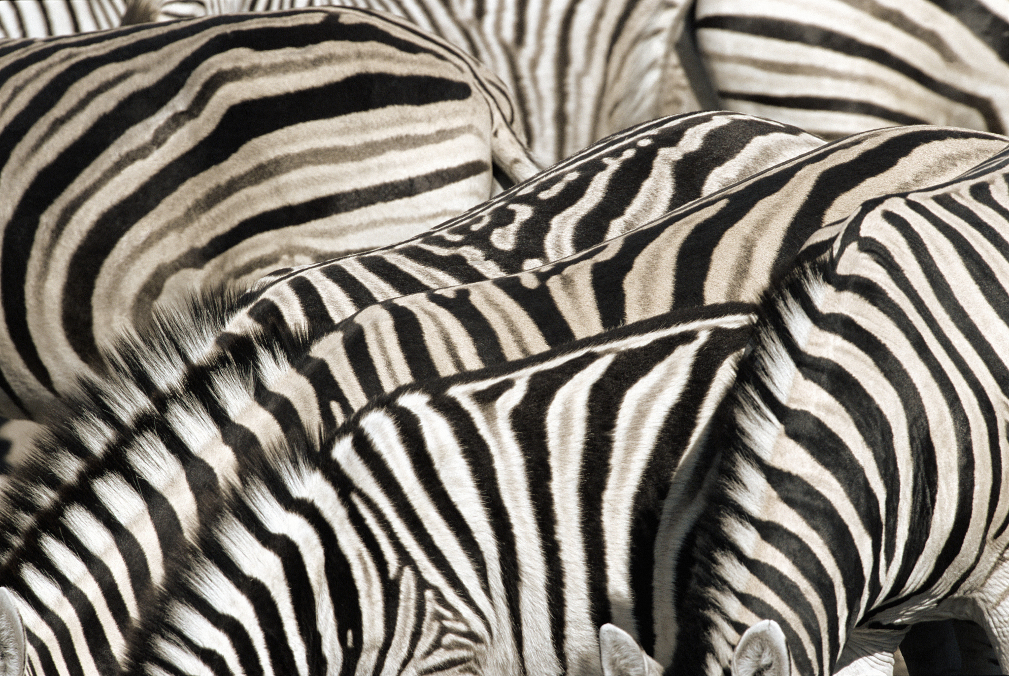 2023兴义市中等职业学校招生专业及相关信息