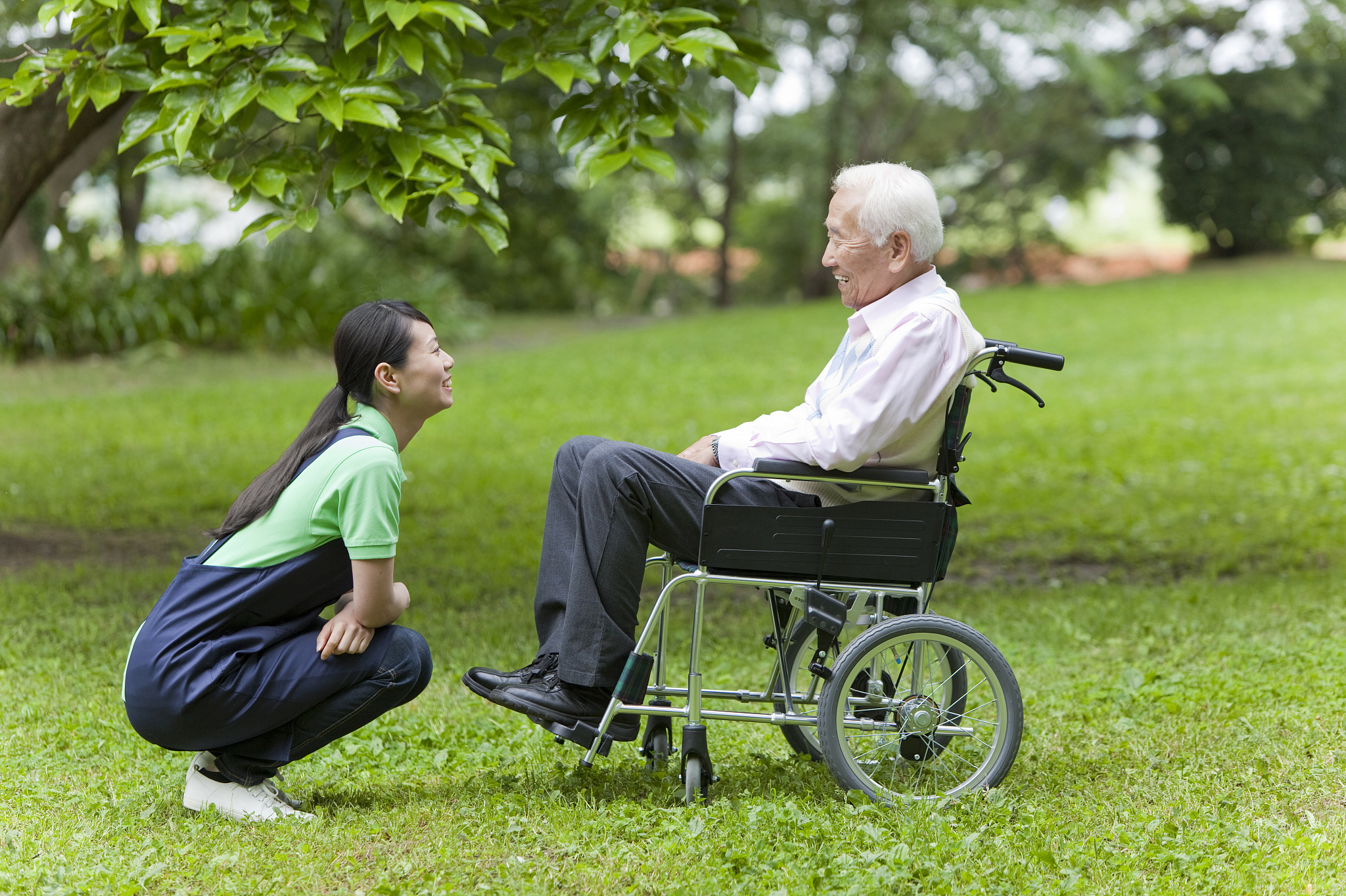 山西水利职业技术学院老年服务与管理专业涉及哪些课程