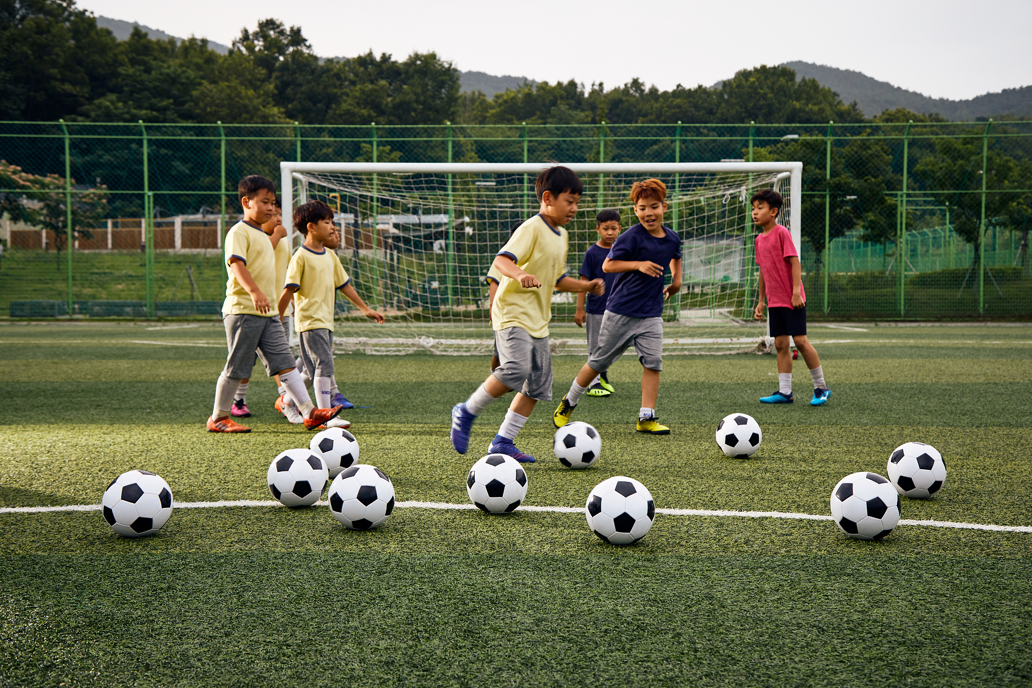 足球天赋与人种：探究差异与共性