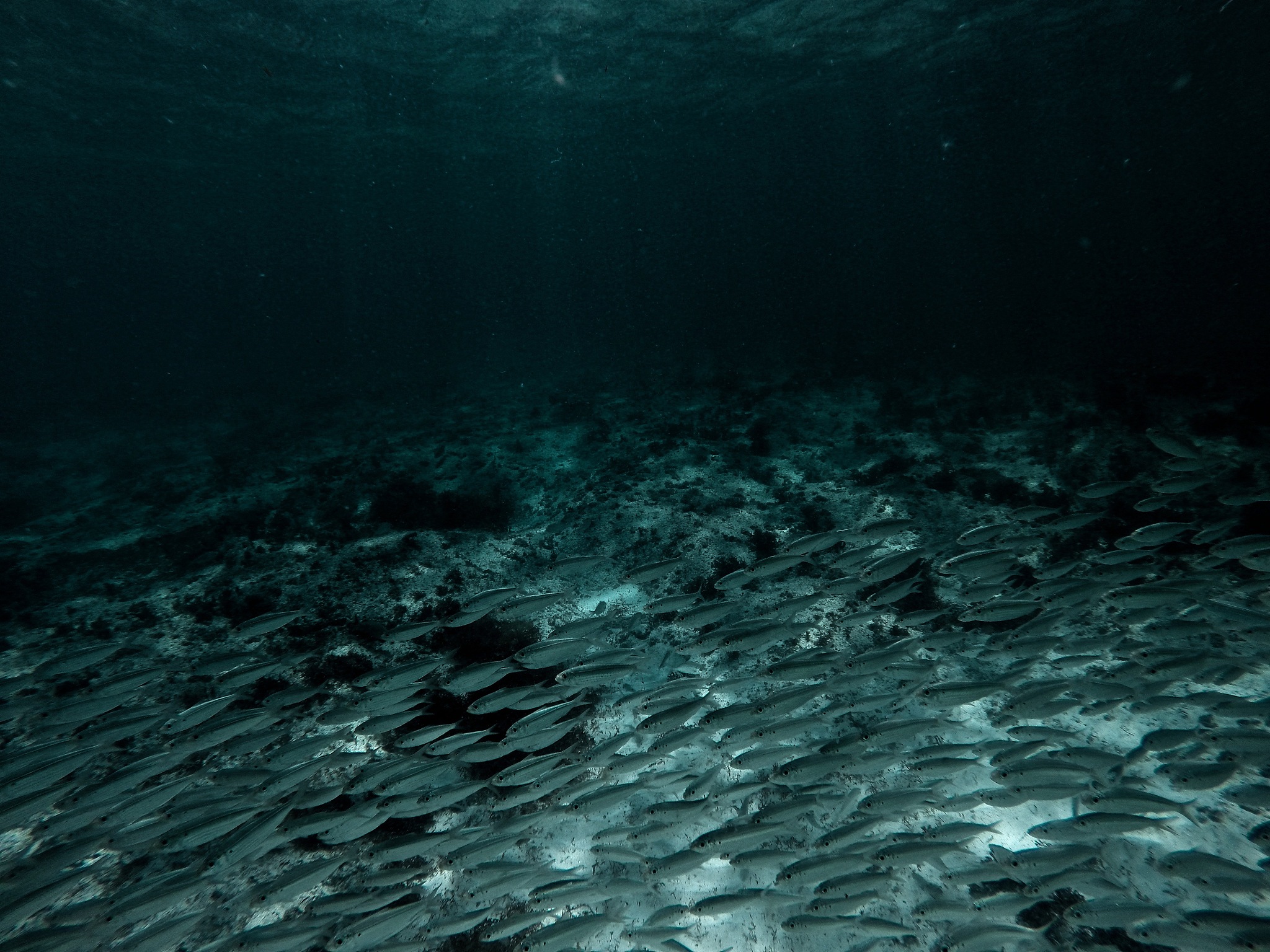under sea water