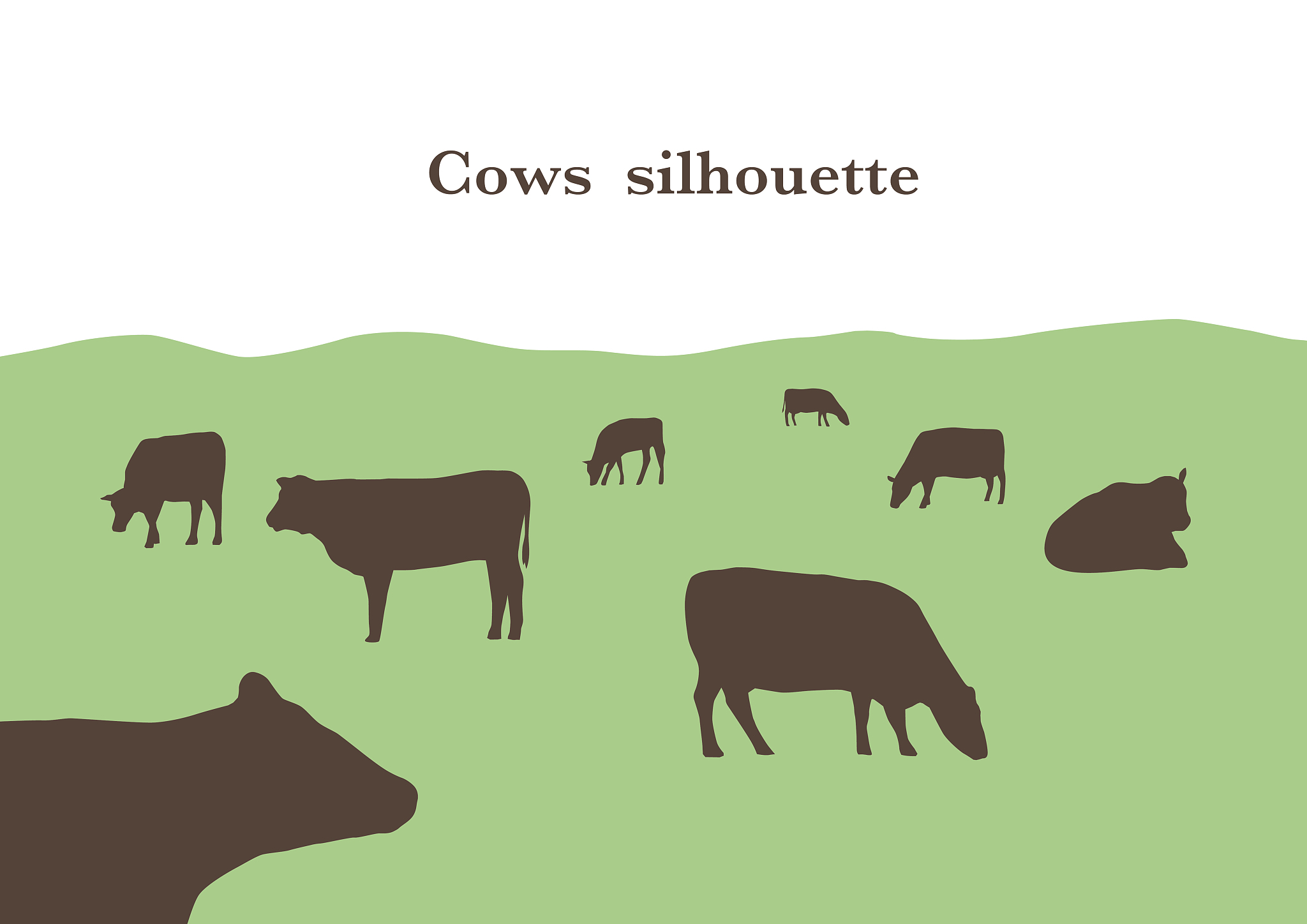 cow是什么意思