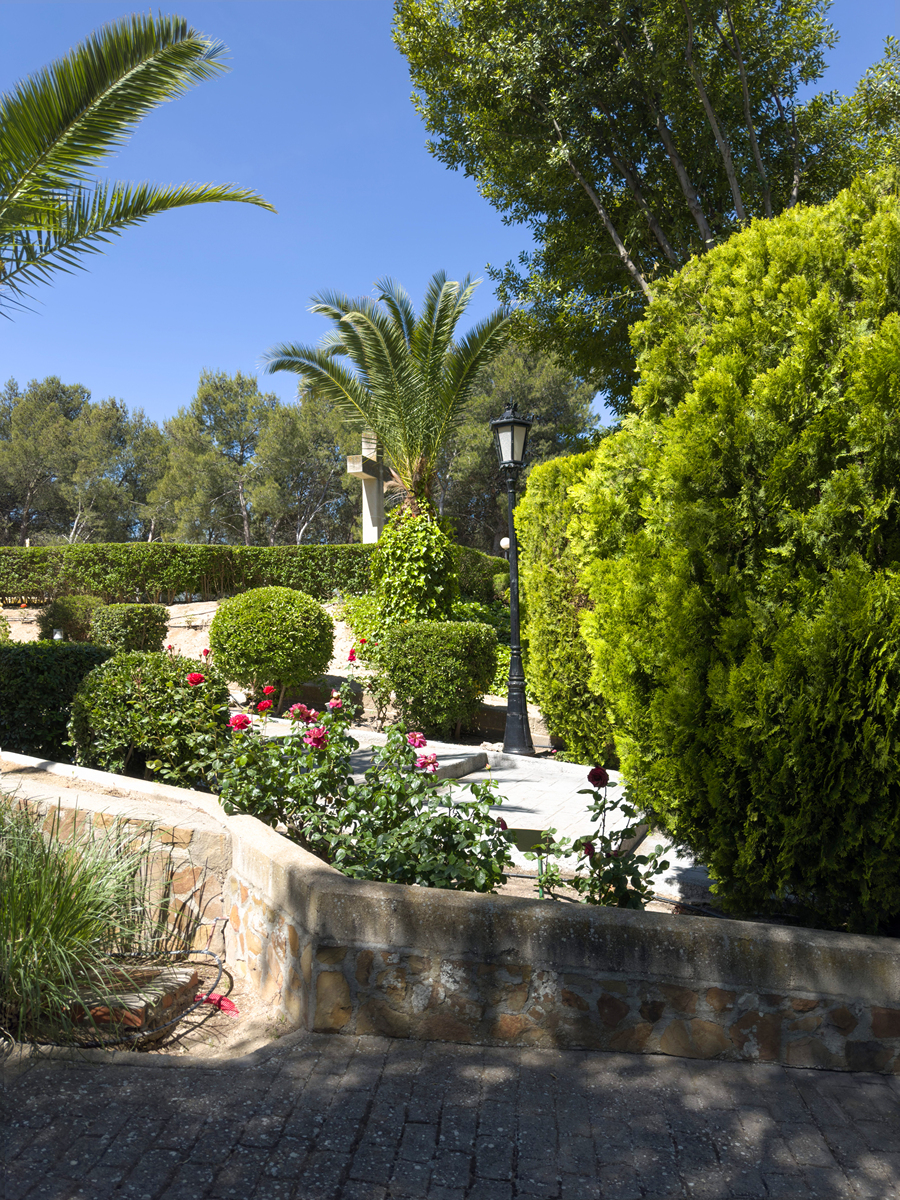 I have some bushes to trim some plants to trim down some other things but I’ll do a little bit at a time We still have a couple months left of fall so there’s no rush