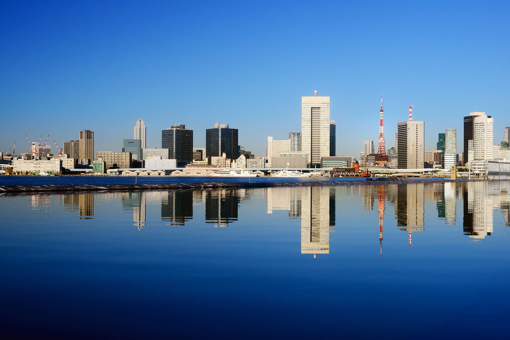 tokyo downtown skyline