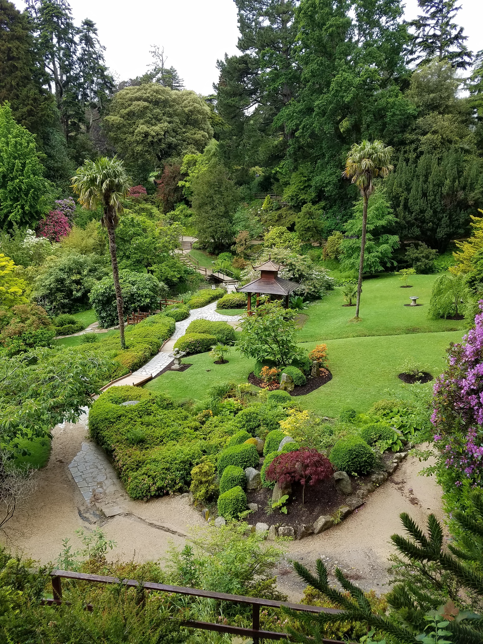 国内园林植物应用发展趋势：生态、绿色、功能与智能