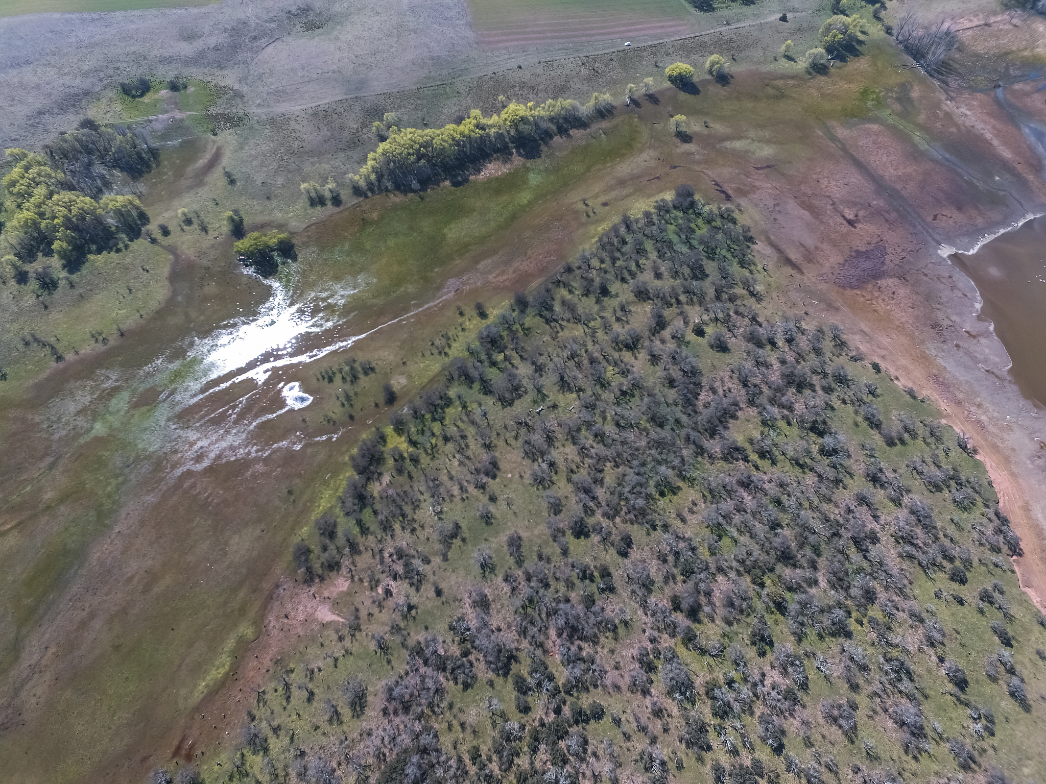 印度尼西亚泥炭地恢复的障碍与技术：一个综述