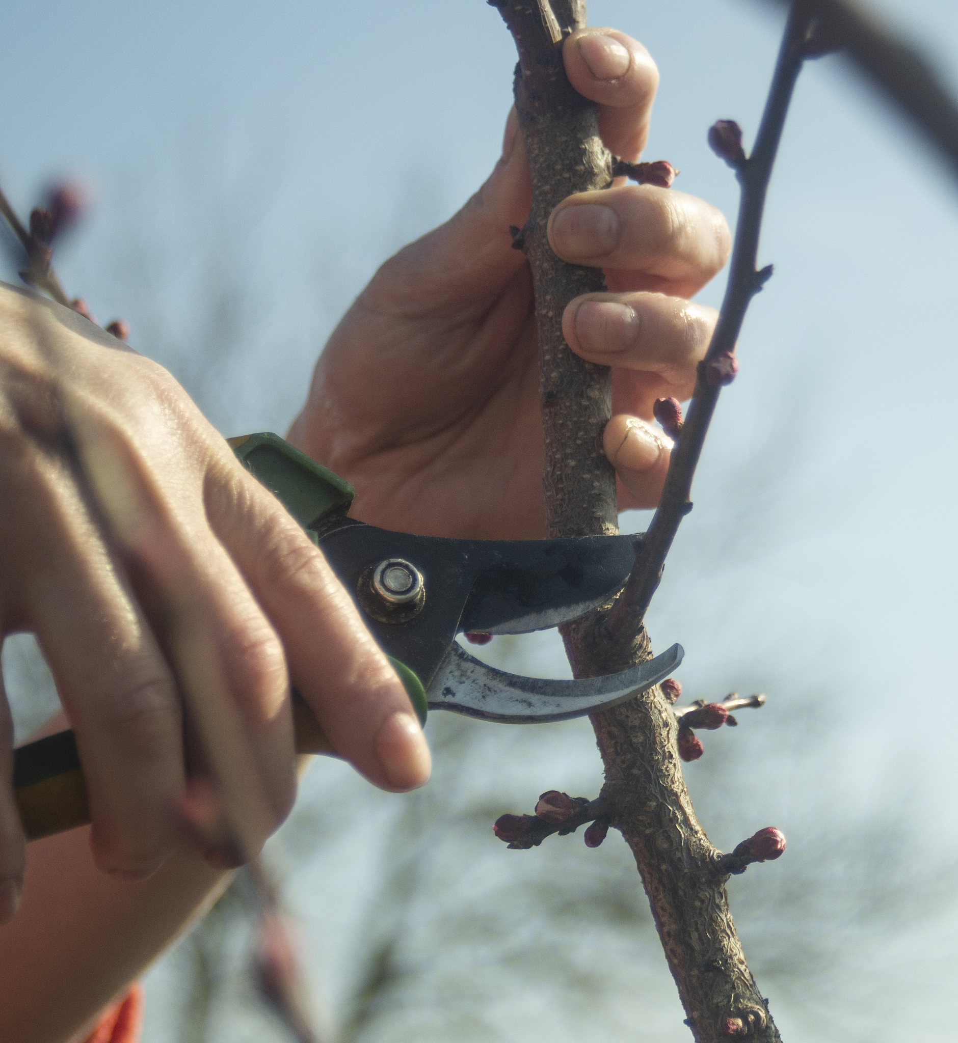 贵州大学园艺招生