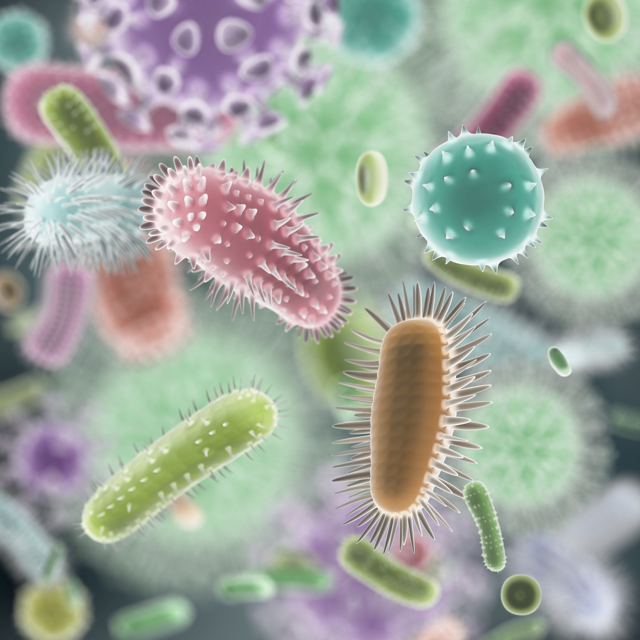 常见腐败微生物种类及感染风险