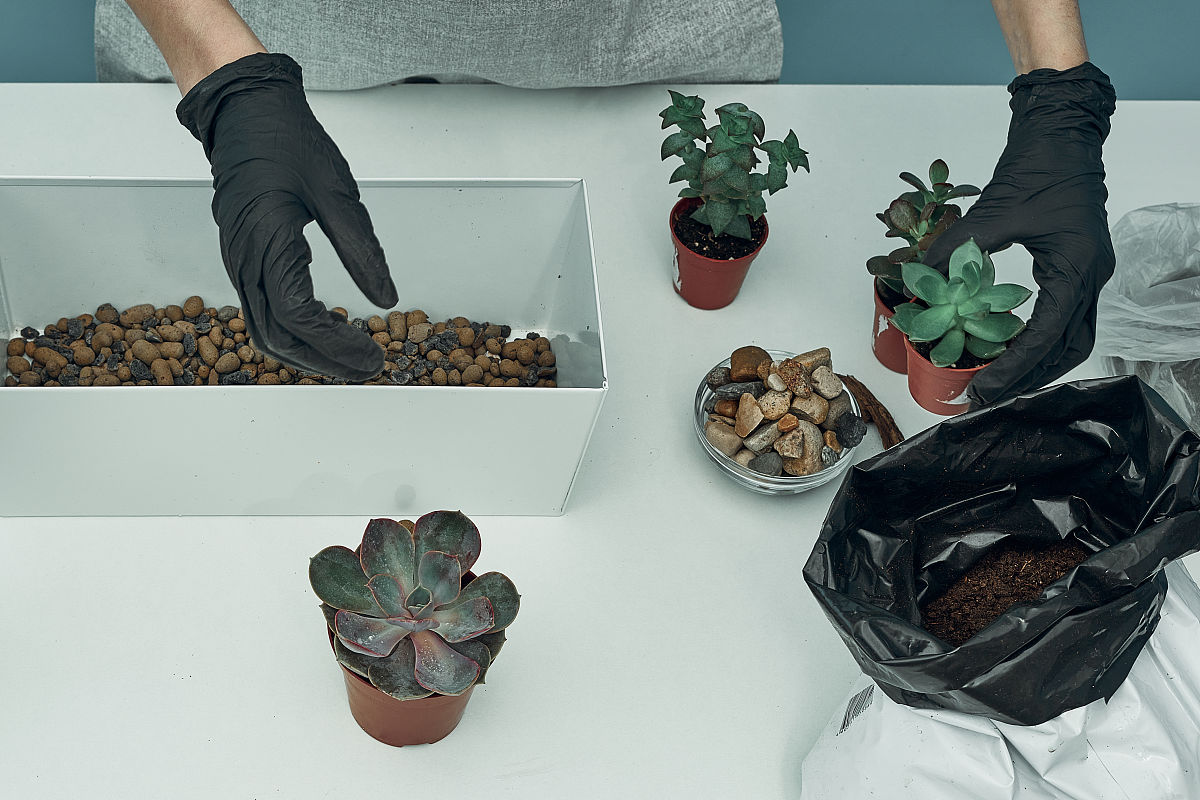 迁西职教中心2021年招生简章 - 培养职业素养，助力未来发展