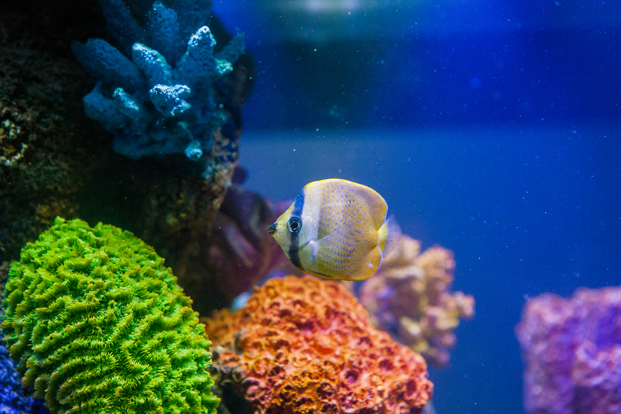 宁波海洋职业技术学校2022年招生电话-好不好