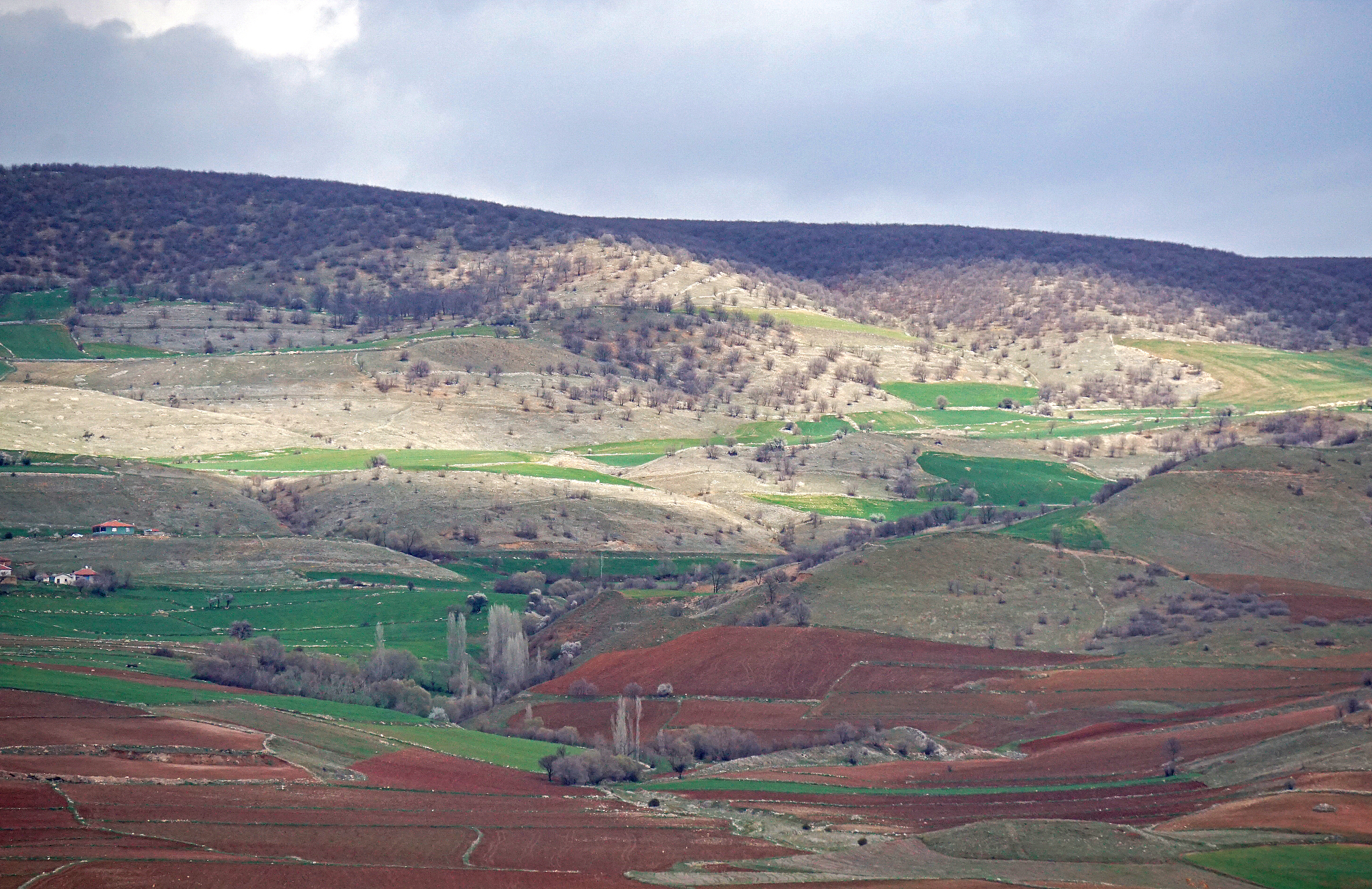 landscape