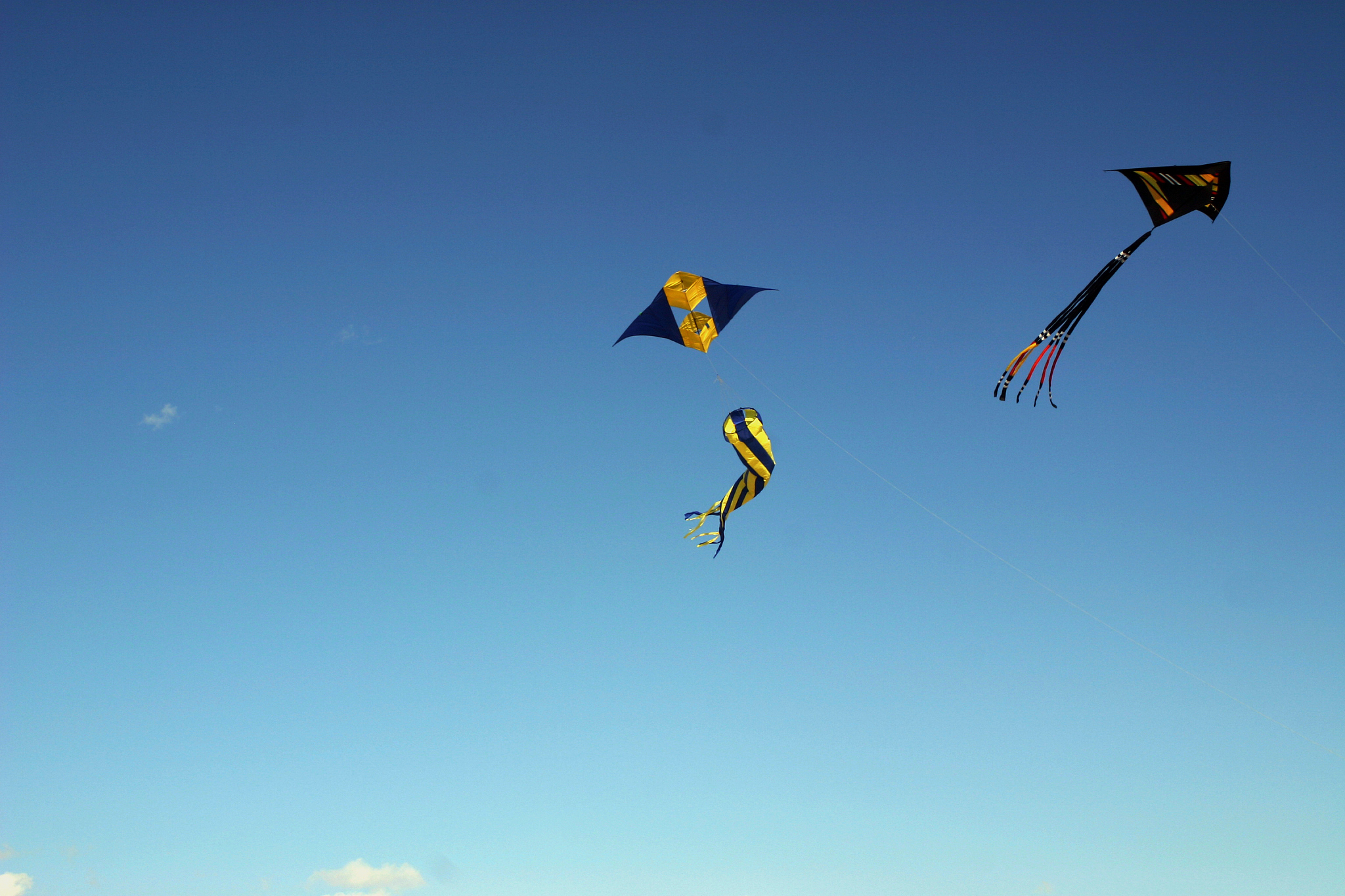 kites