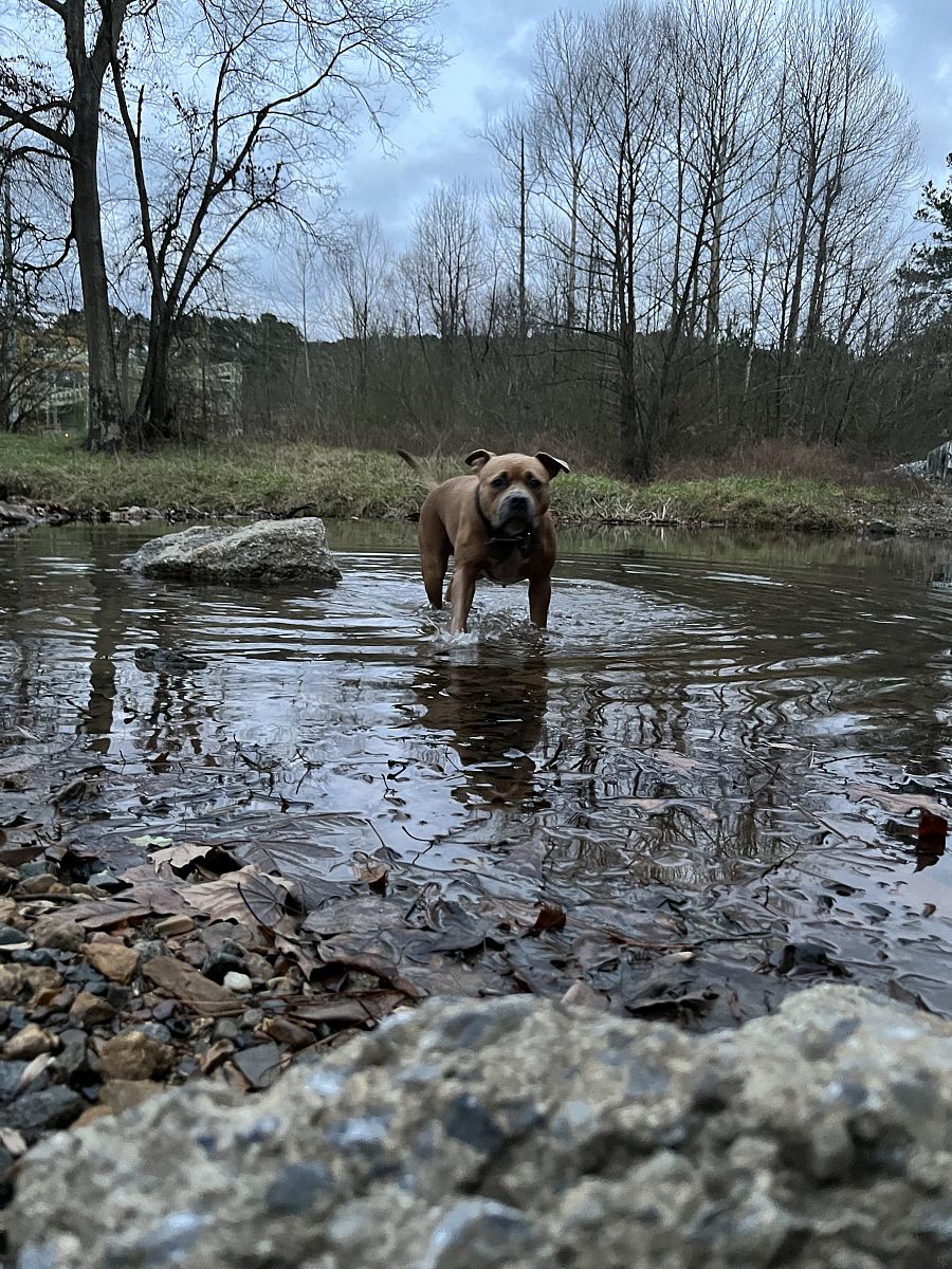 贵州省职高VS铁路学校：哪个更适合你？