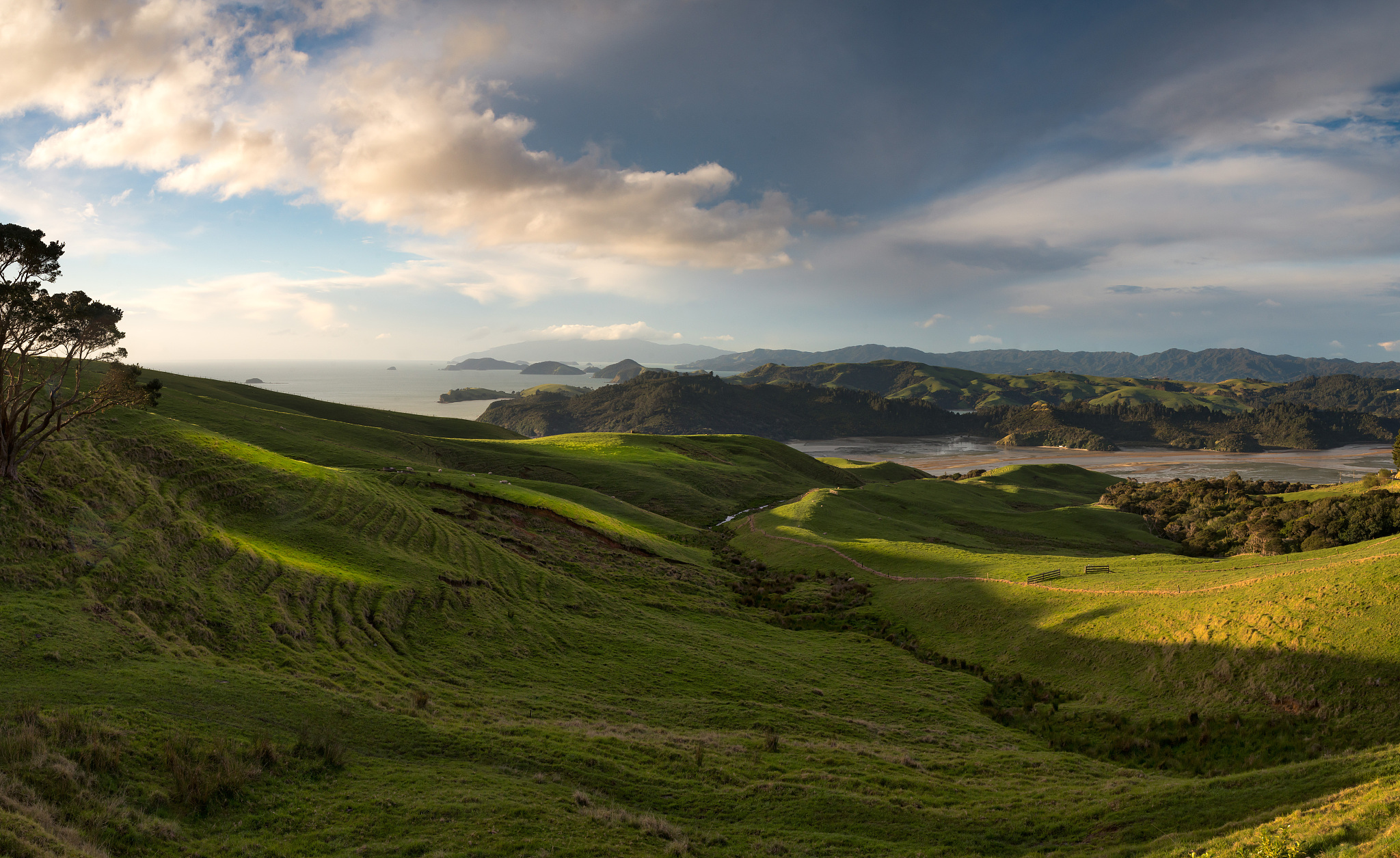 coromandel's west coast
