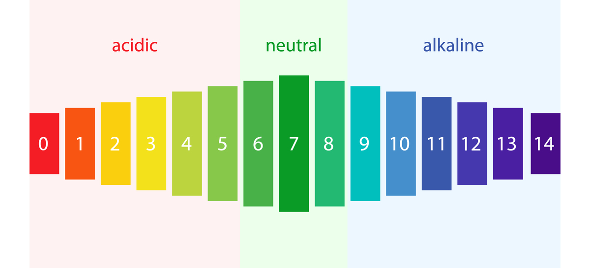 Does Language Shape Color Perception? The Case of the Missing Blue