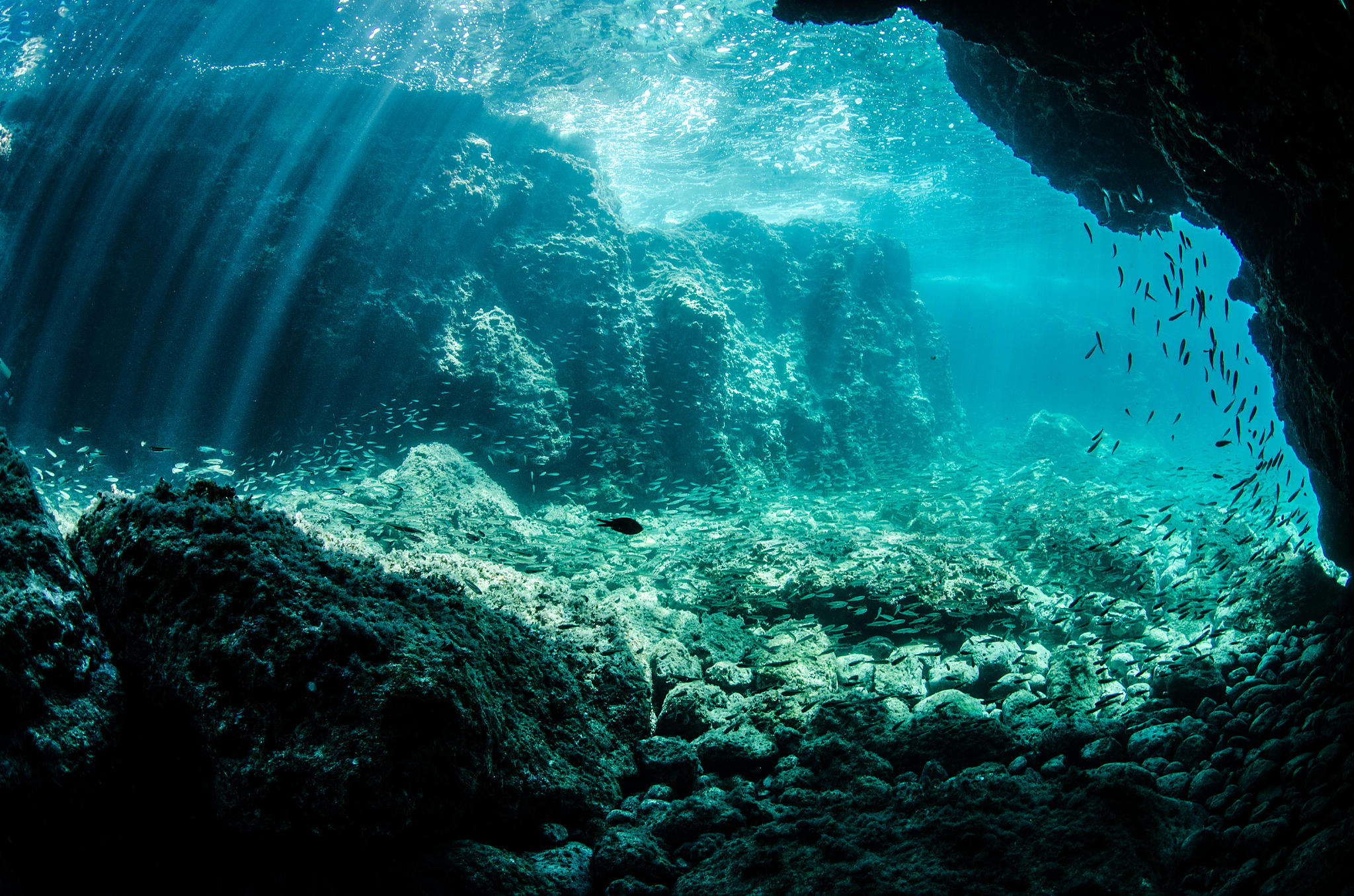 under the rocks