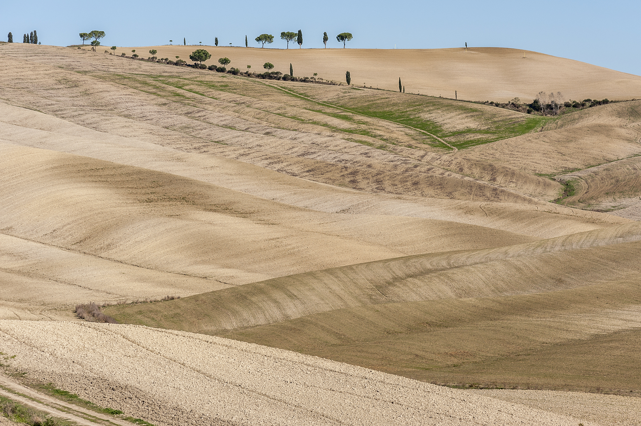 beautiful tuscan landscape near san quirico d'orcia, with rollin
