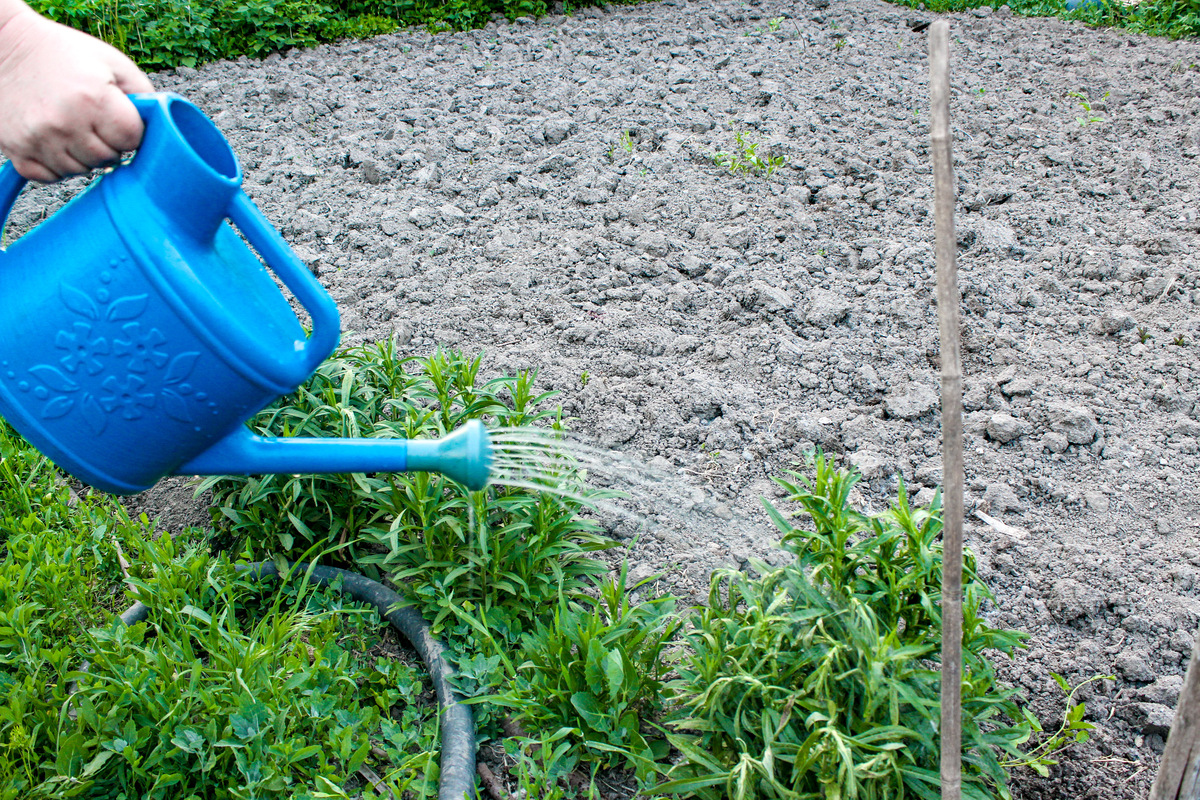 高效除草剂，打造美丽花园！