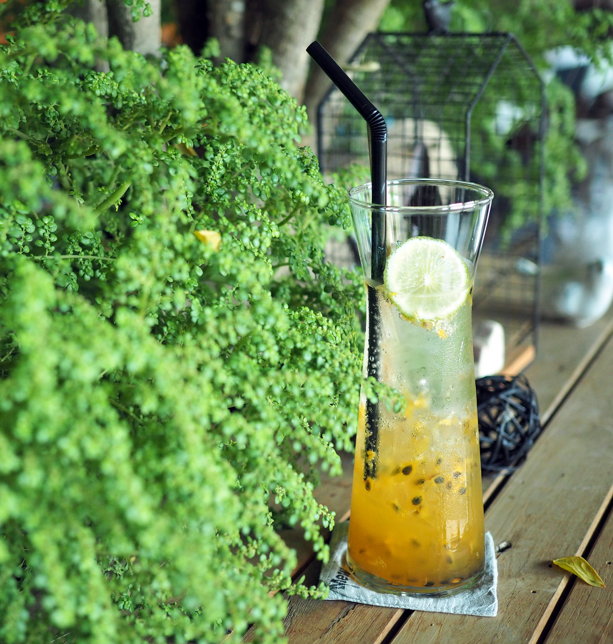 白刺莳萝饮：年轻人爱喝的创意饮品