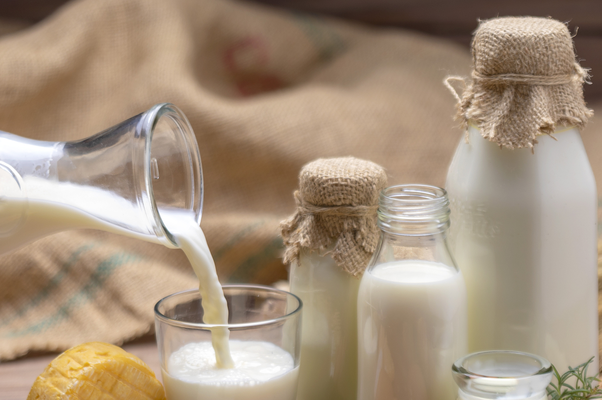 驼奶：来自沙漠的珍贵礼物，滋养您的健康与活力