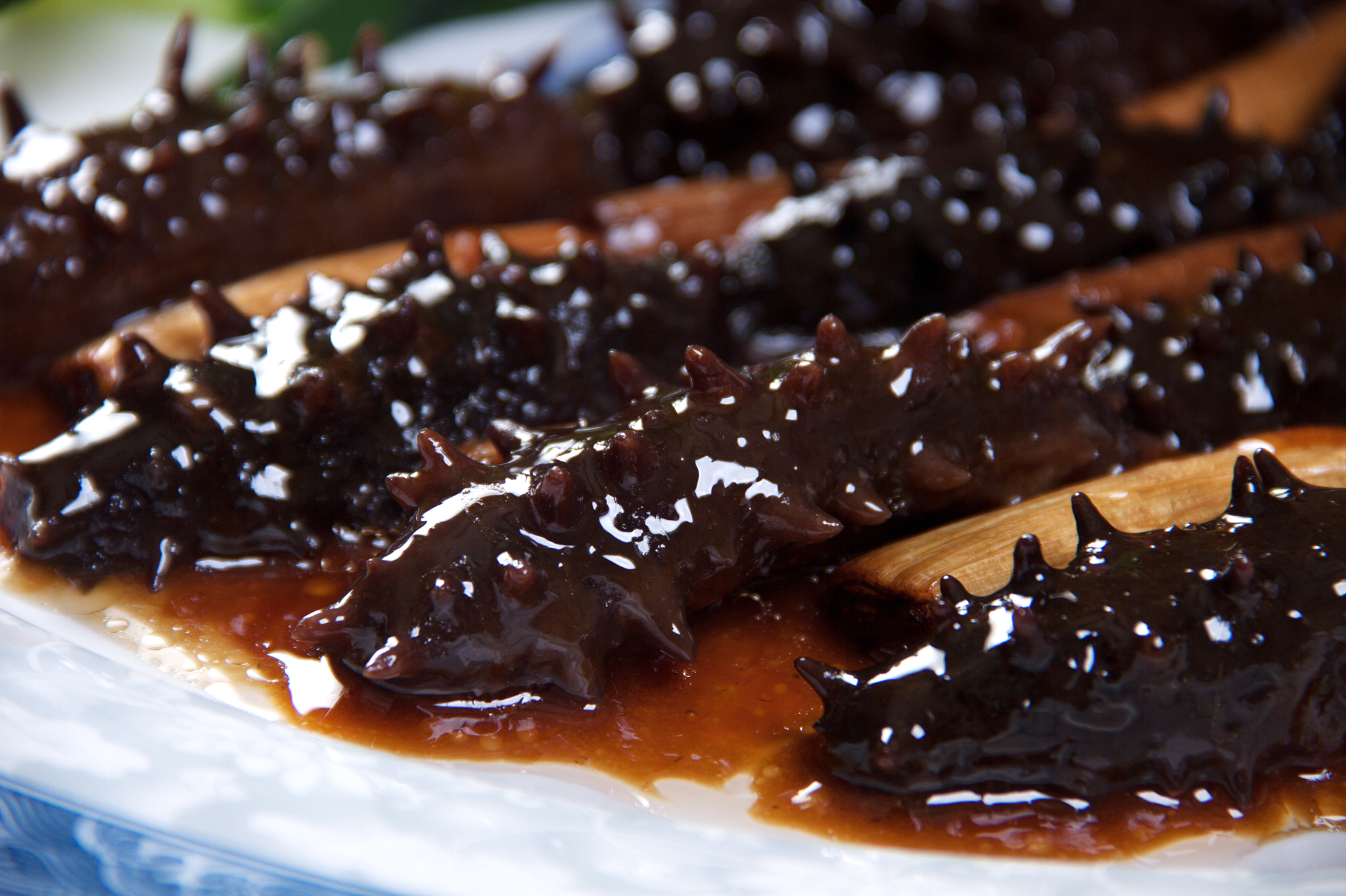 海参的营养价值：功效全面，滋补佳品