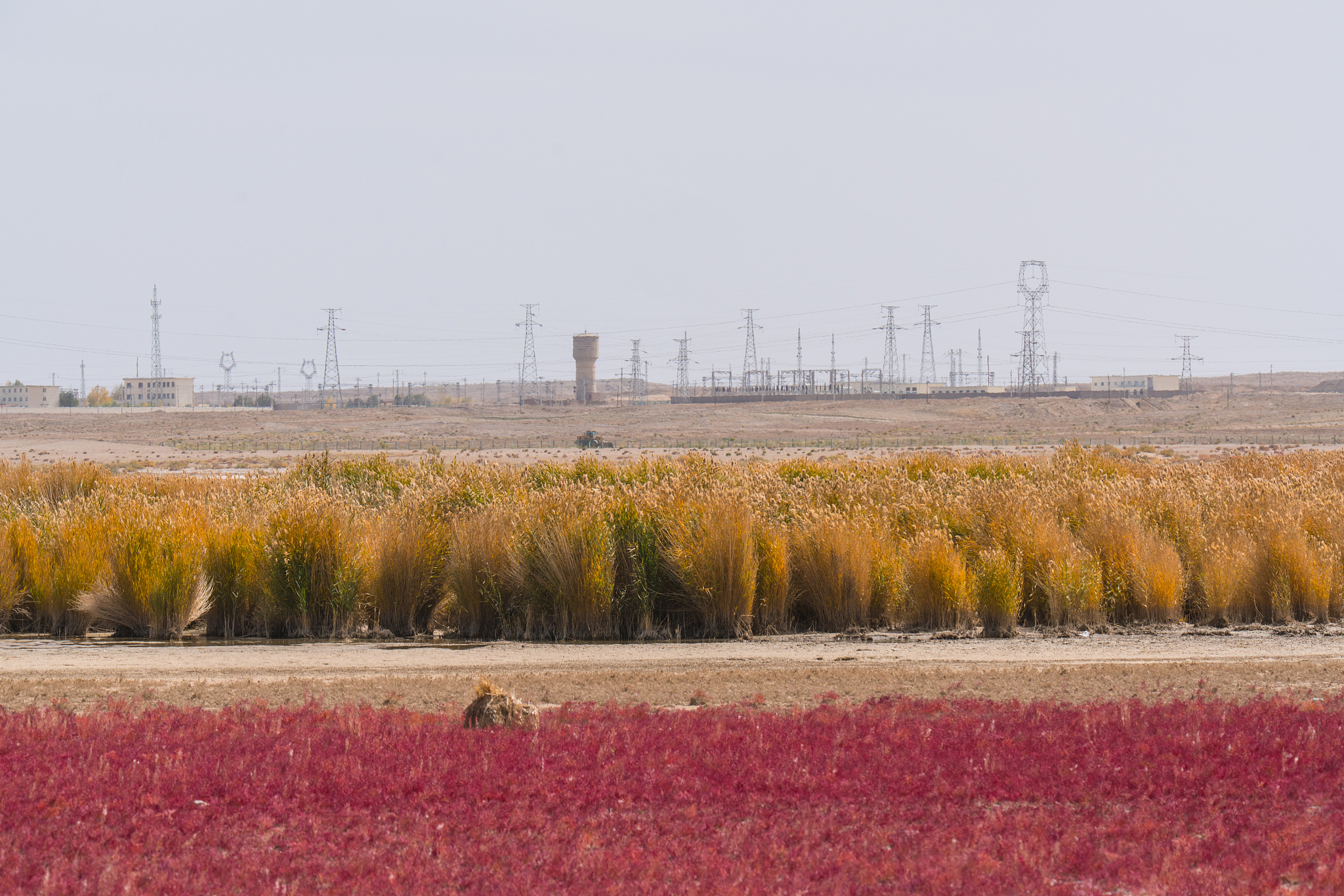 胞间浓度对蒸腾作用的影响