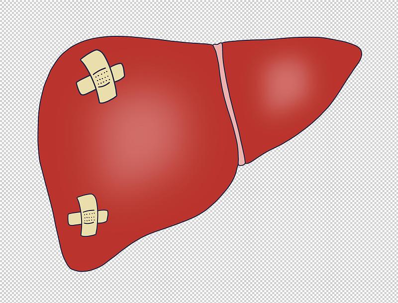 肝淤血导致肝肿大：治疗方法及注意事项