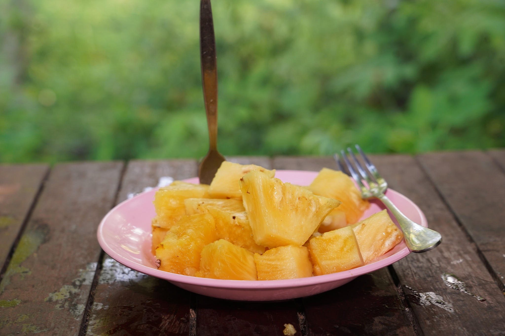 重庆市轻工业学校招生简章 - 报名指南与特色介绍