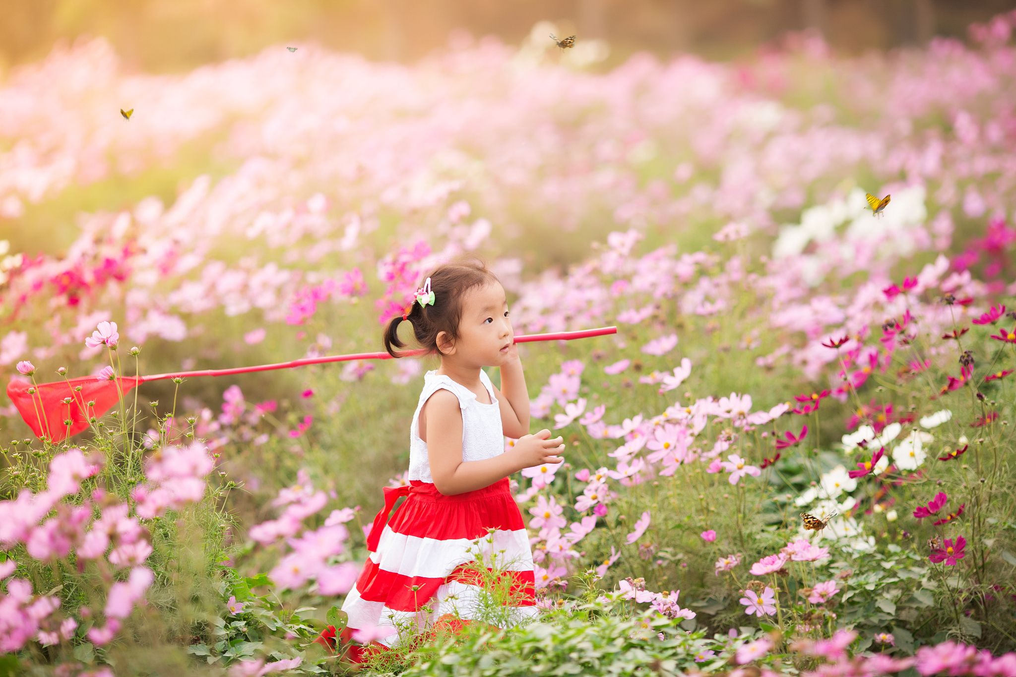 园林专业就业前景女生现状 用