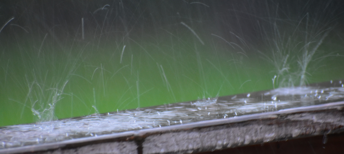 谷雨之际，万物逢时：一窥自然与人文交织的深邃画卷
