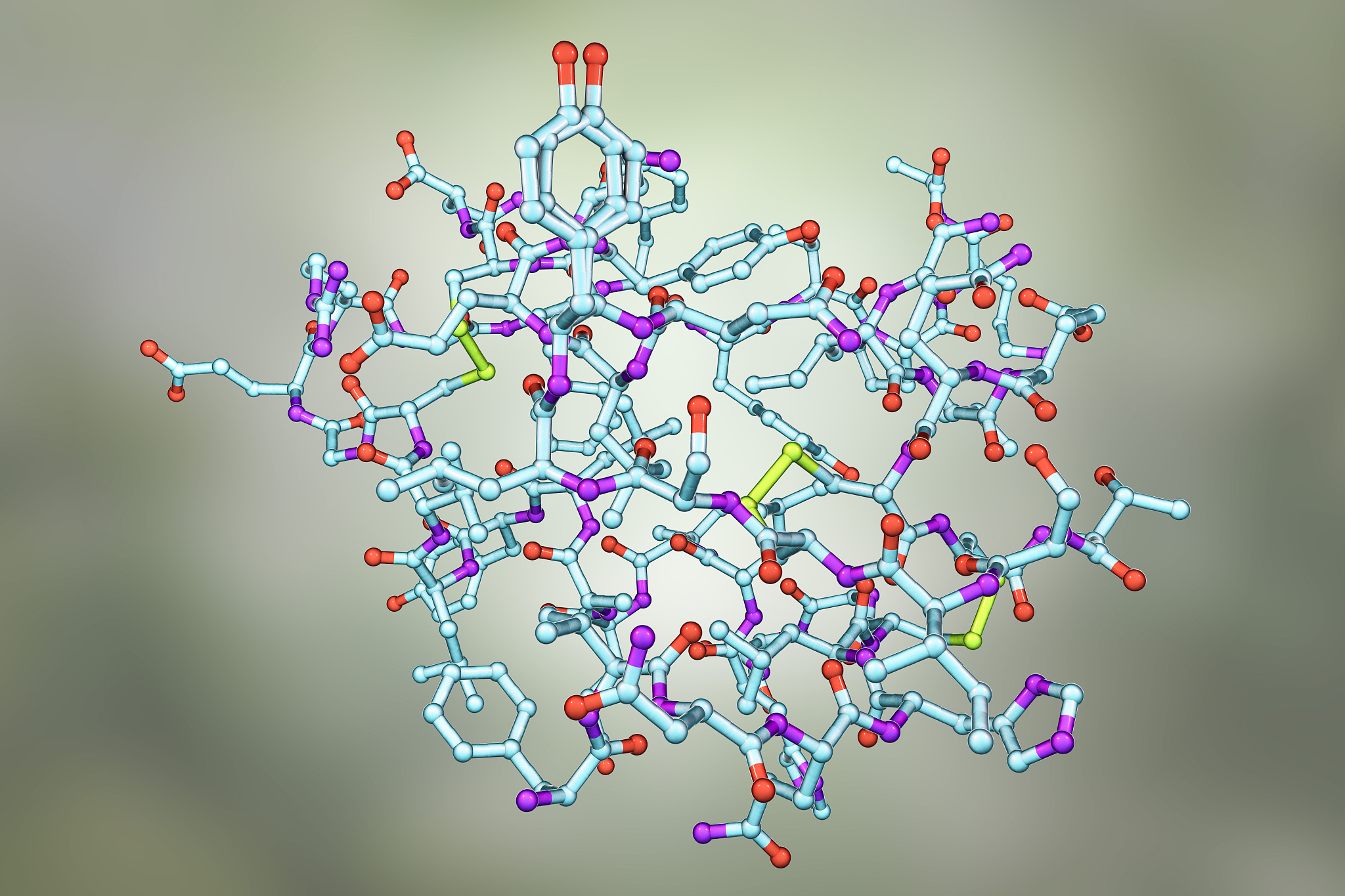 胰岛素结合哪些分子？- 了解胰岛素作用机制