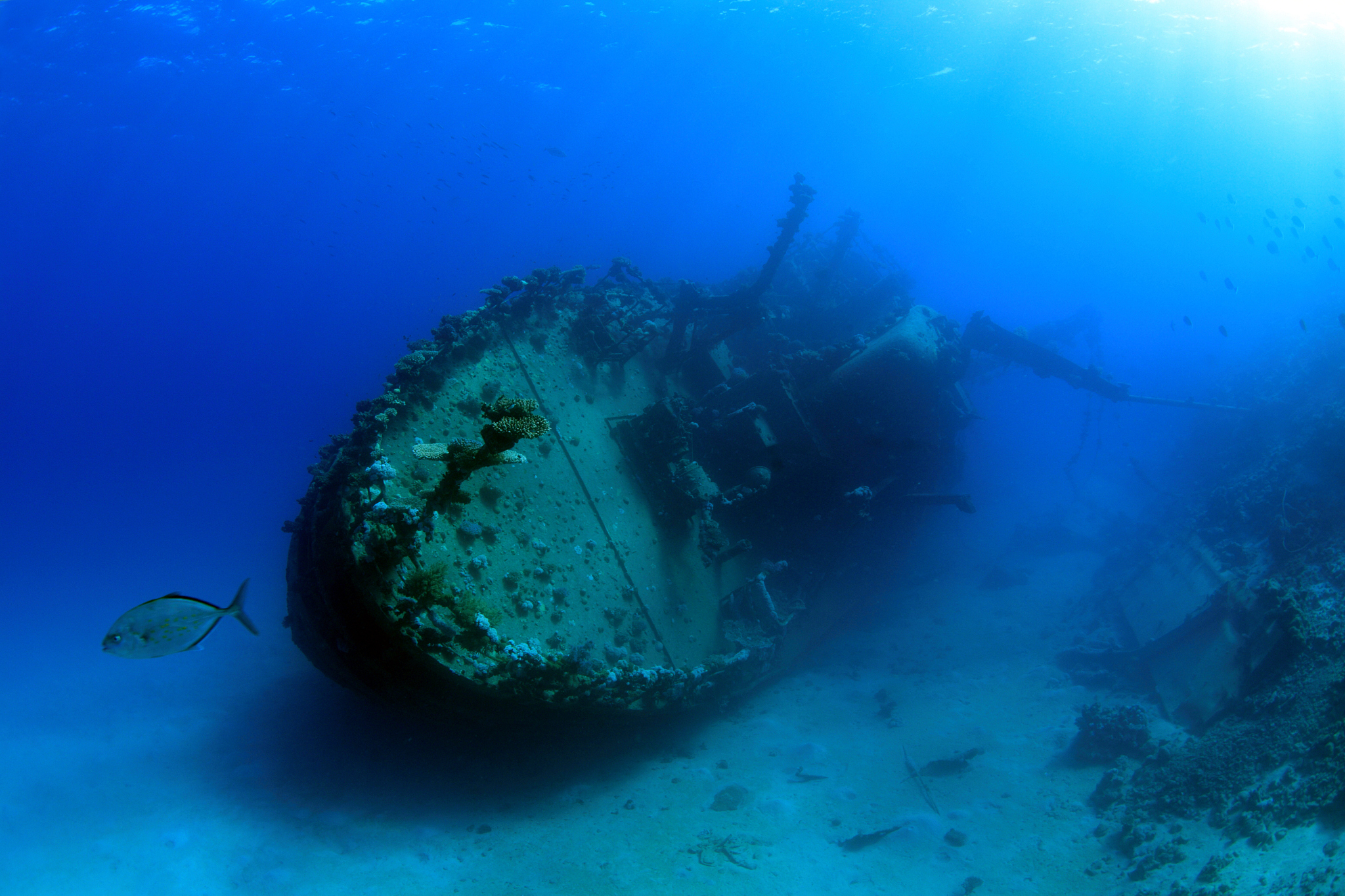 red sea