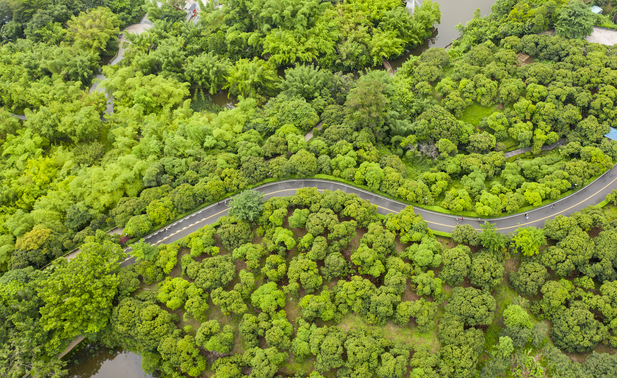 成都纺织高等专科学校五年制大专汽车运用与维修专业前景好不好
