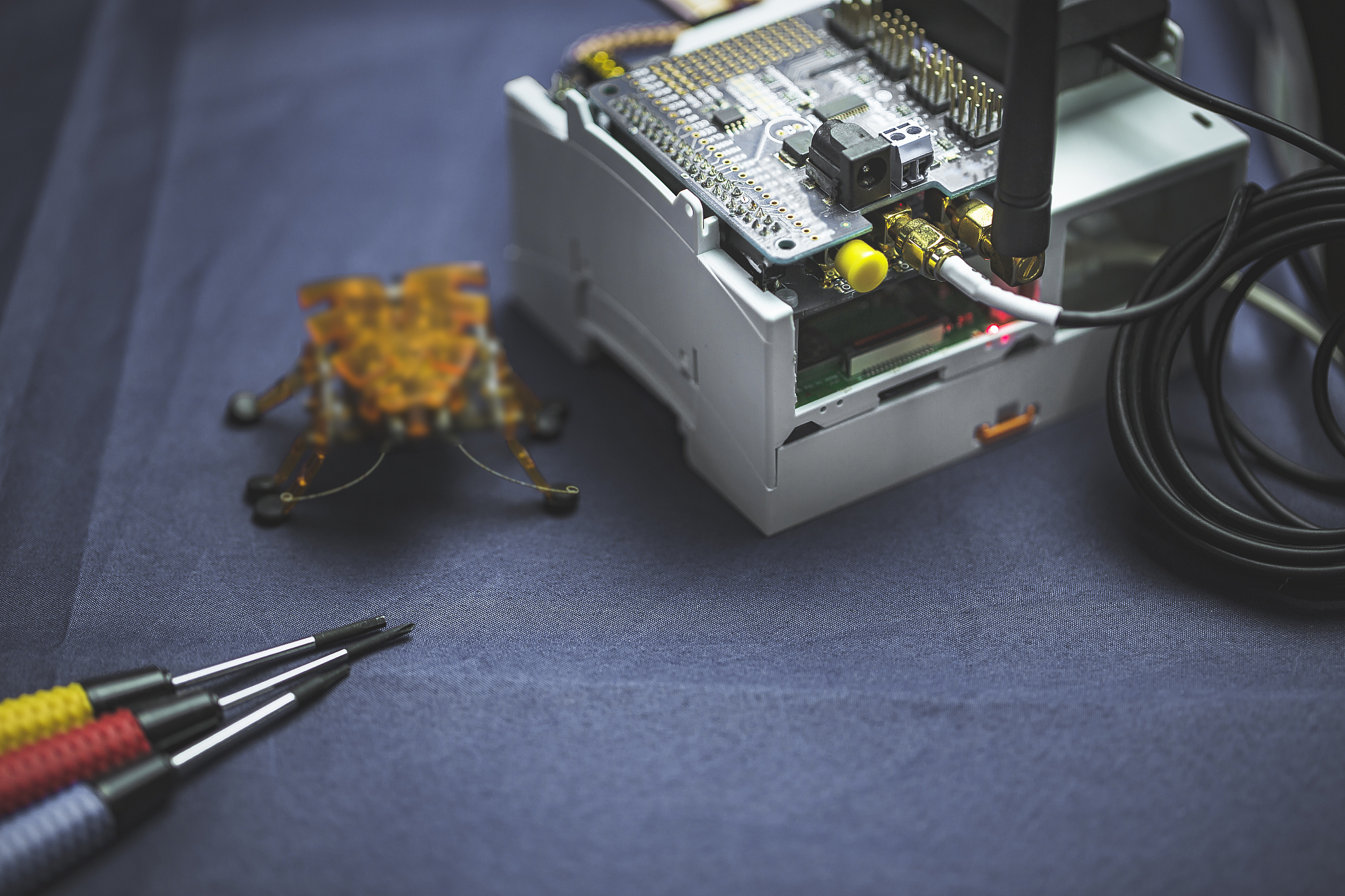 颍上县科学技术学校2021年开设有哪些专业