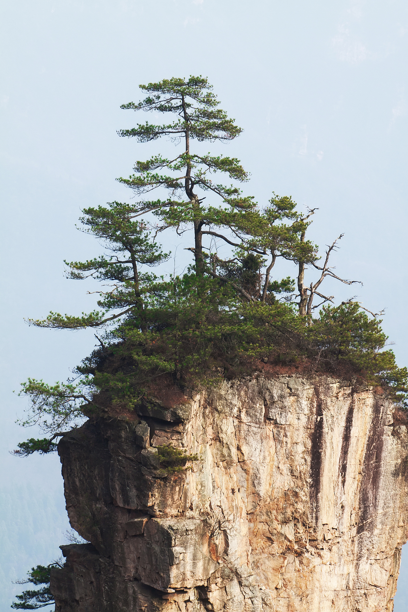 湖南都市职业学院印刷技术专业怎么样？优势、就业前景分析