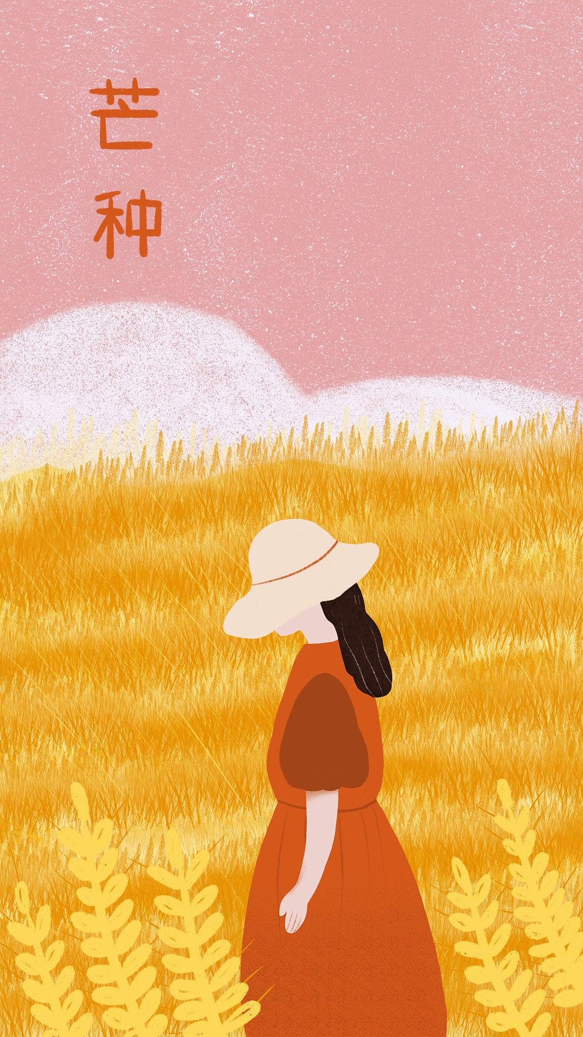 芒种不是6月6日吗为什么2023是6月5日
