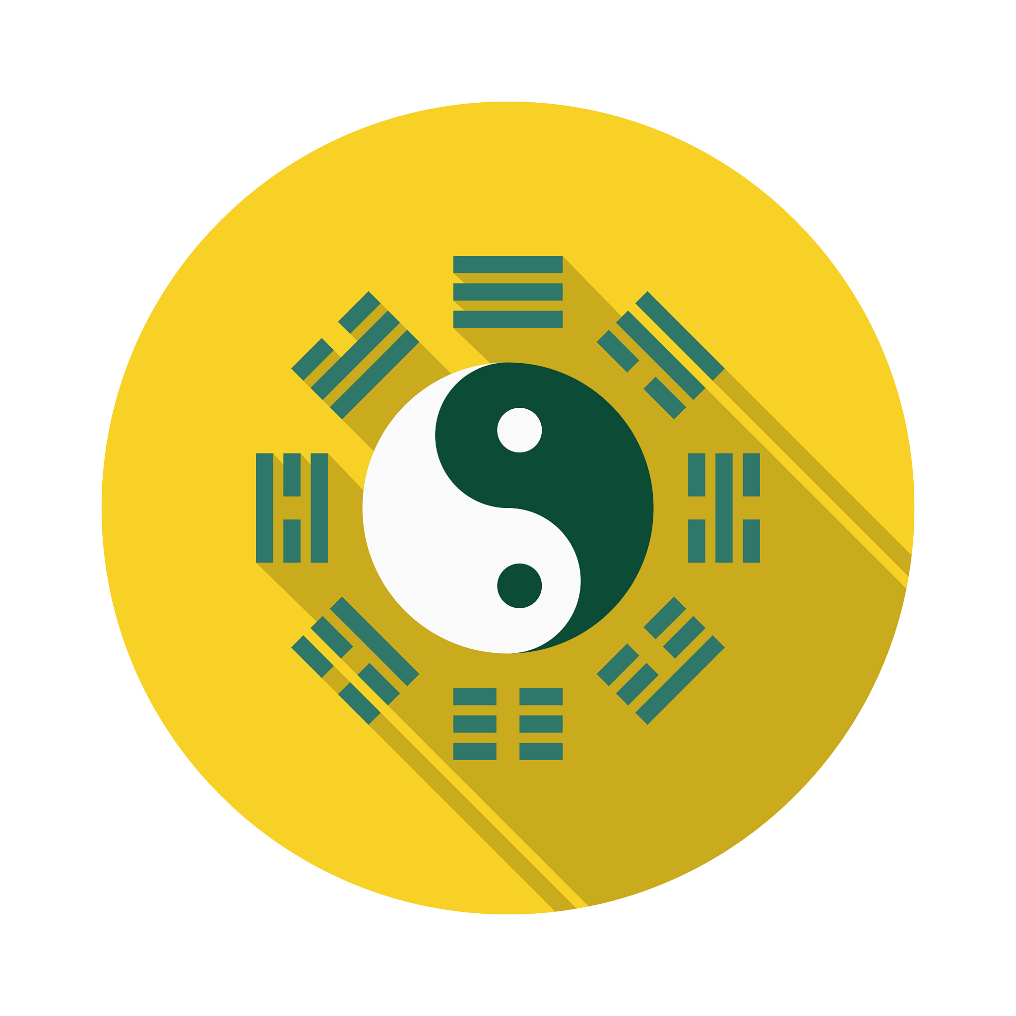 中医康复医学主干课程：内容、方法和意义