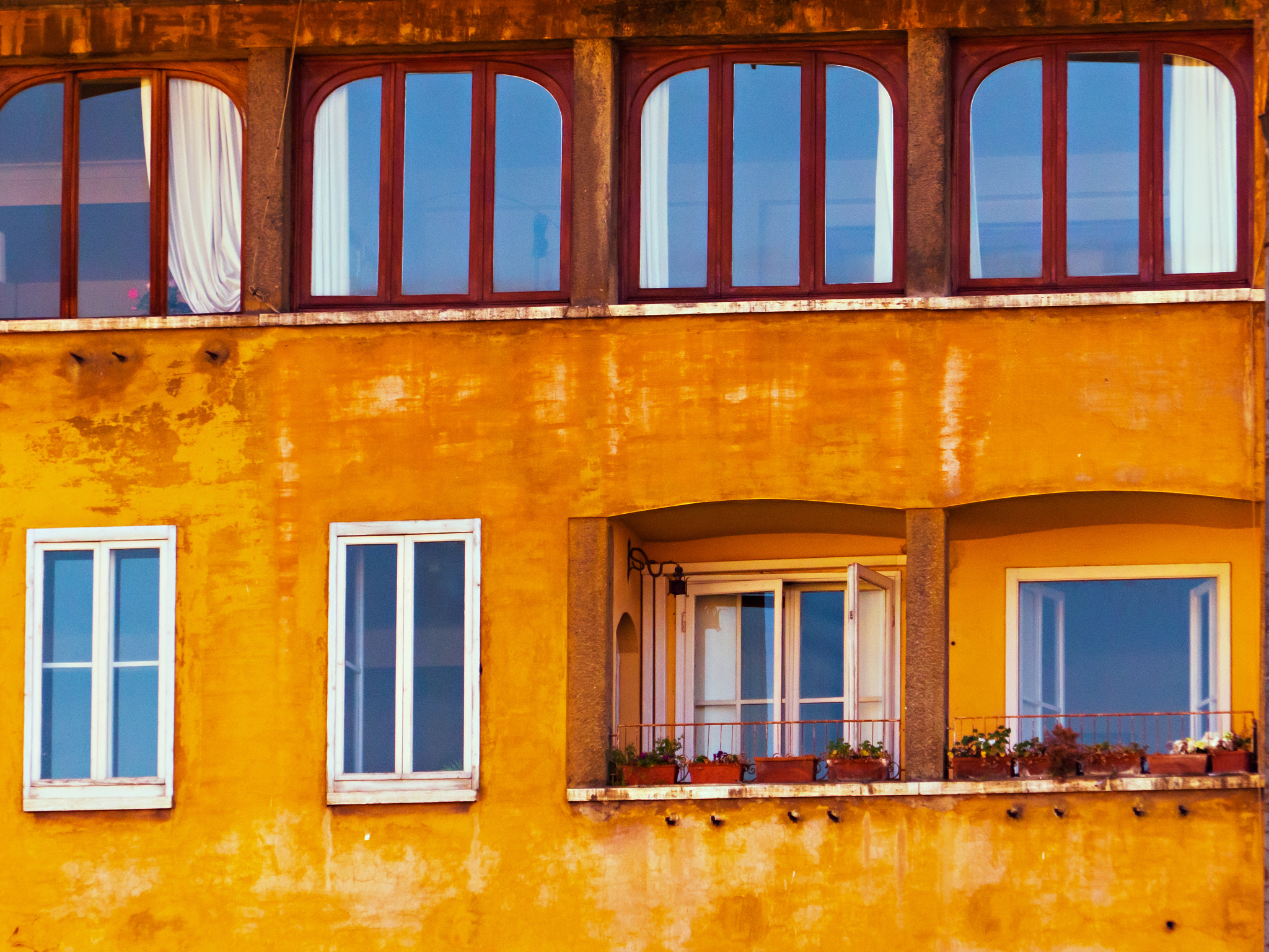 A Tale of Resilience: Sally's Journey in 'The House on Mango Street'