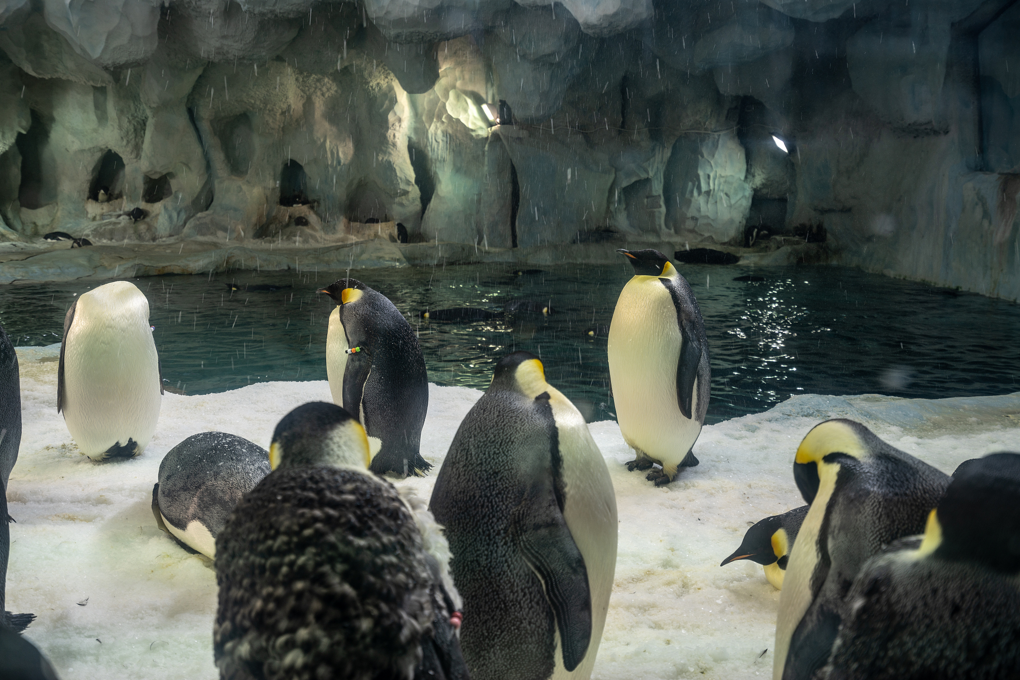 推荐一下广州三日游路线