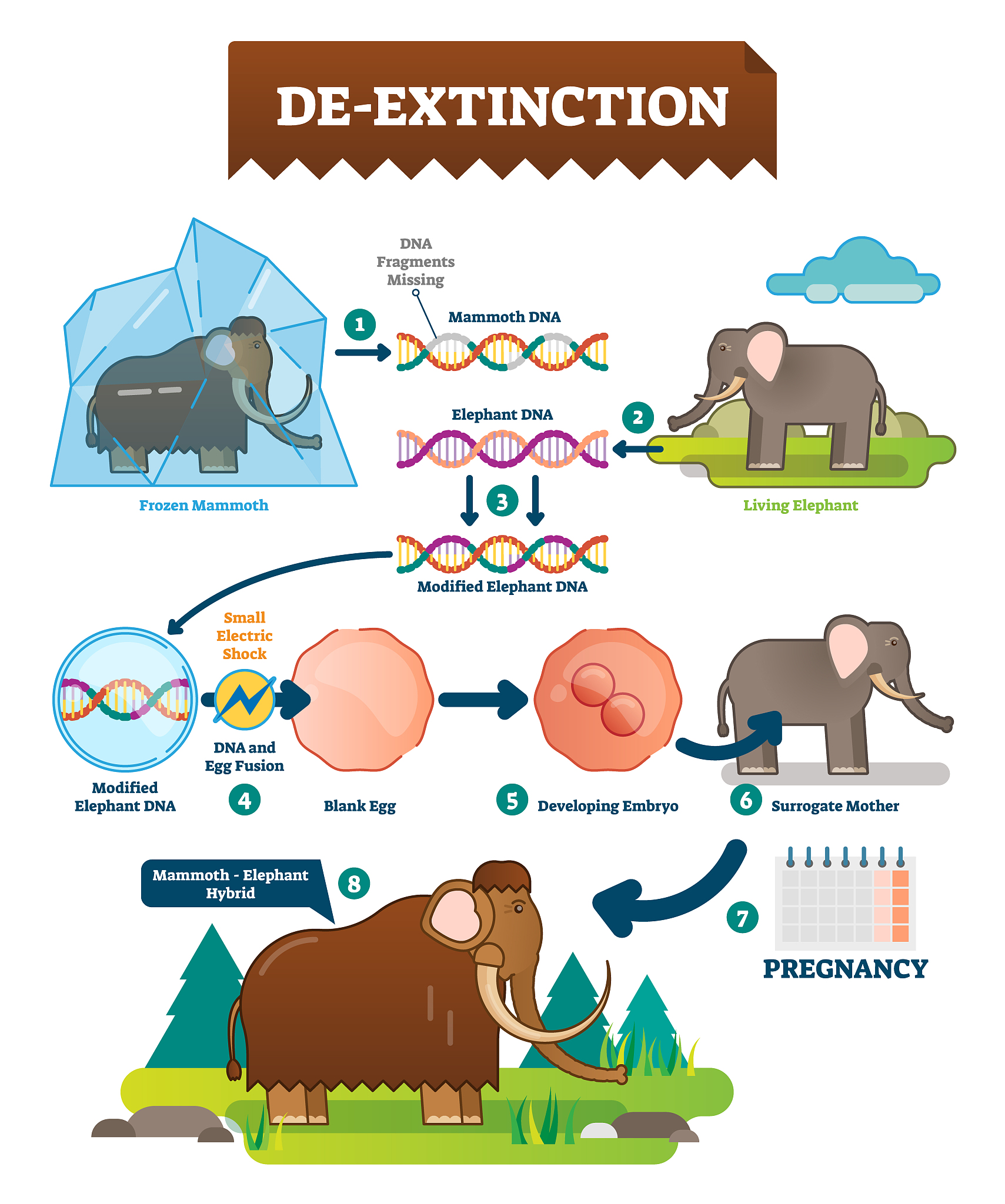ANIMAL GENETICS期刊: 动物遗传学研究的权威平台
