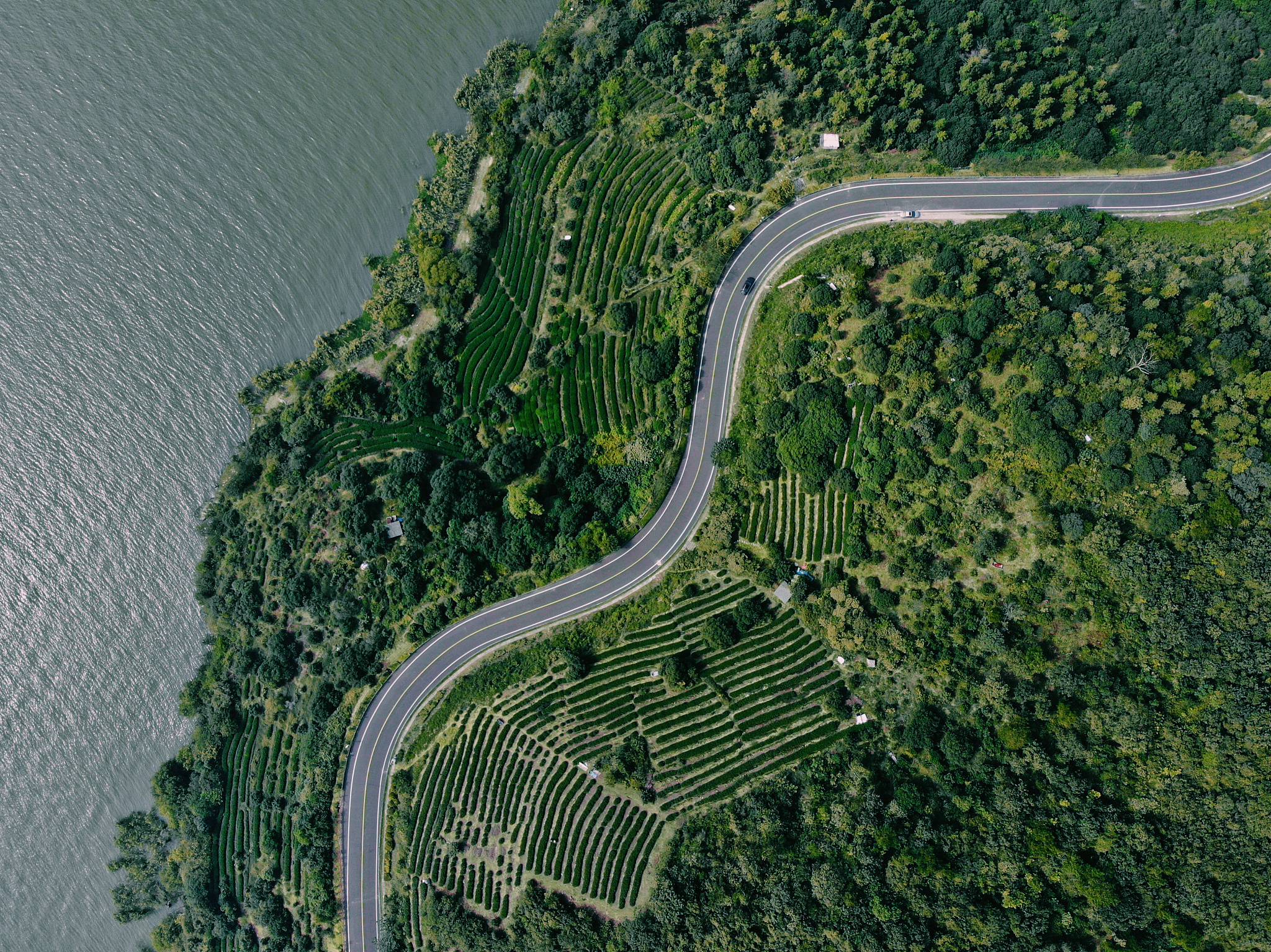 太湖区域概况：地理位置、经济发展和环境挑战