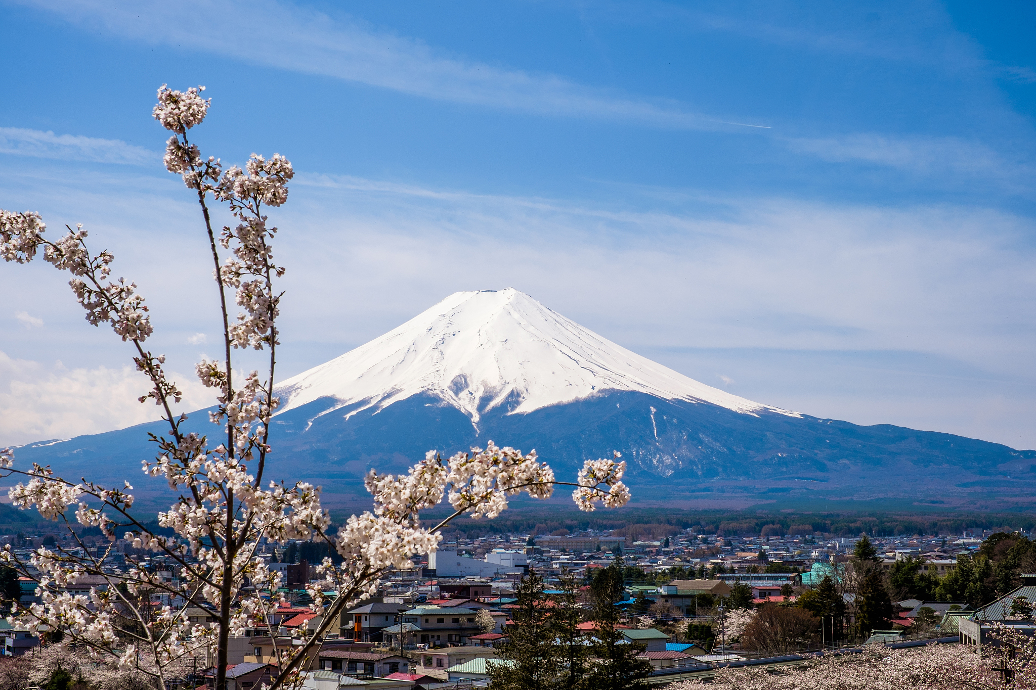 the mount fuji