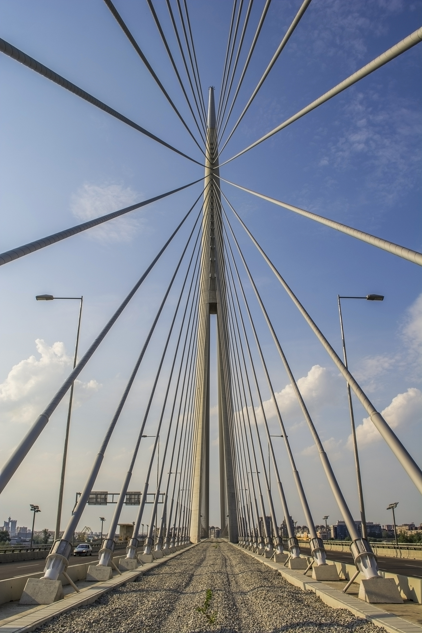 Salt Bridge vs. Disulfide Bridge: Which is Stronger?