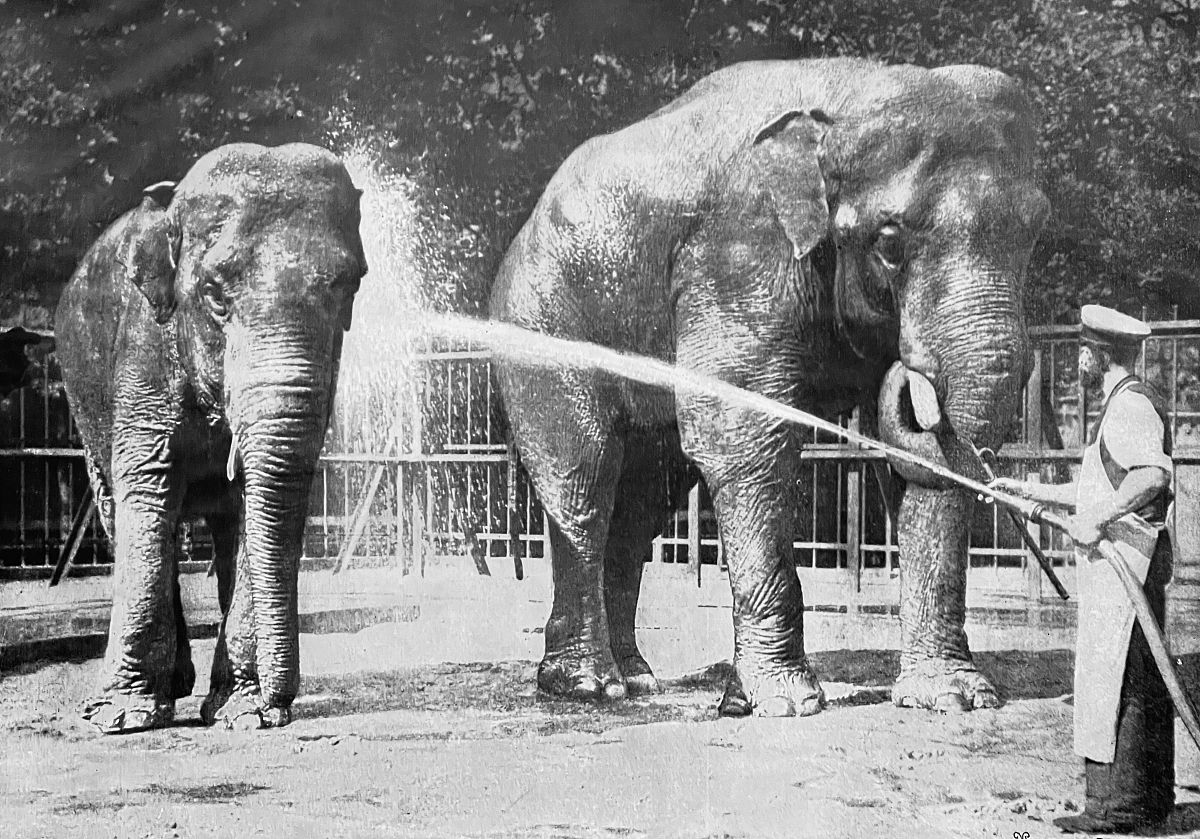 政府机关事务服务中心保卫管理员技师职业技能等级认定专业技术总结