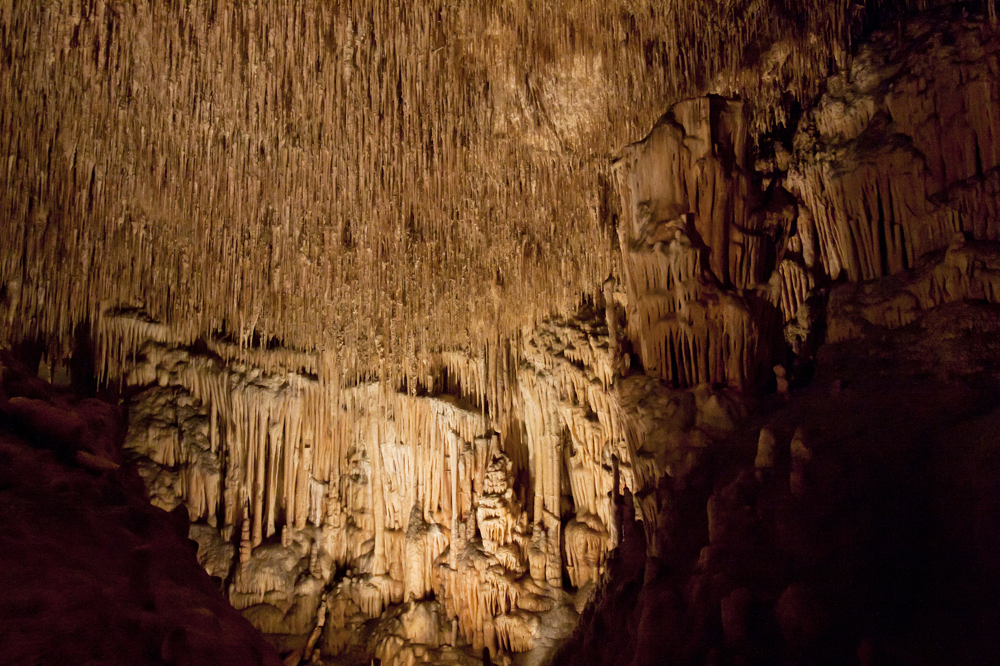 incide the dragon caves on island majorca, spain.