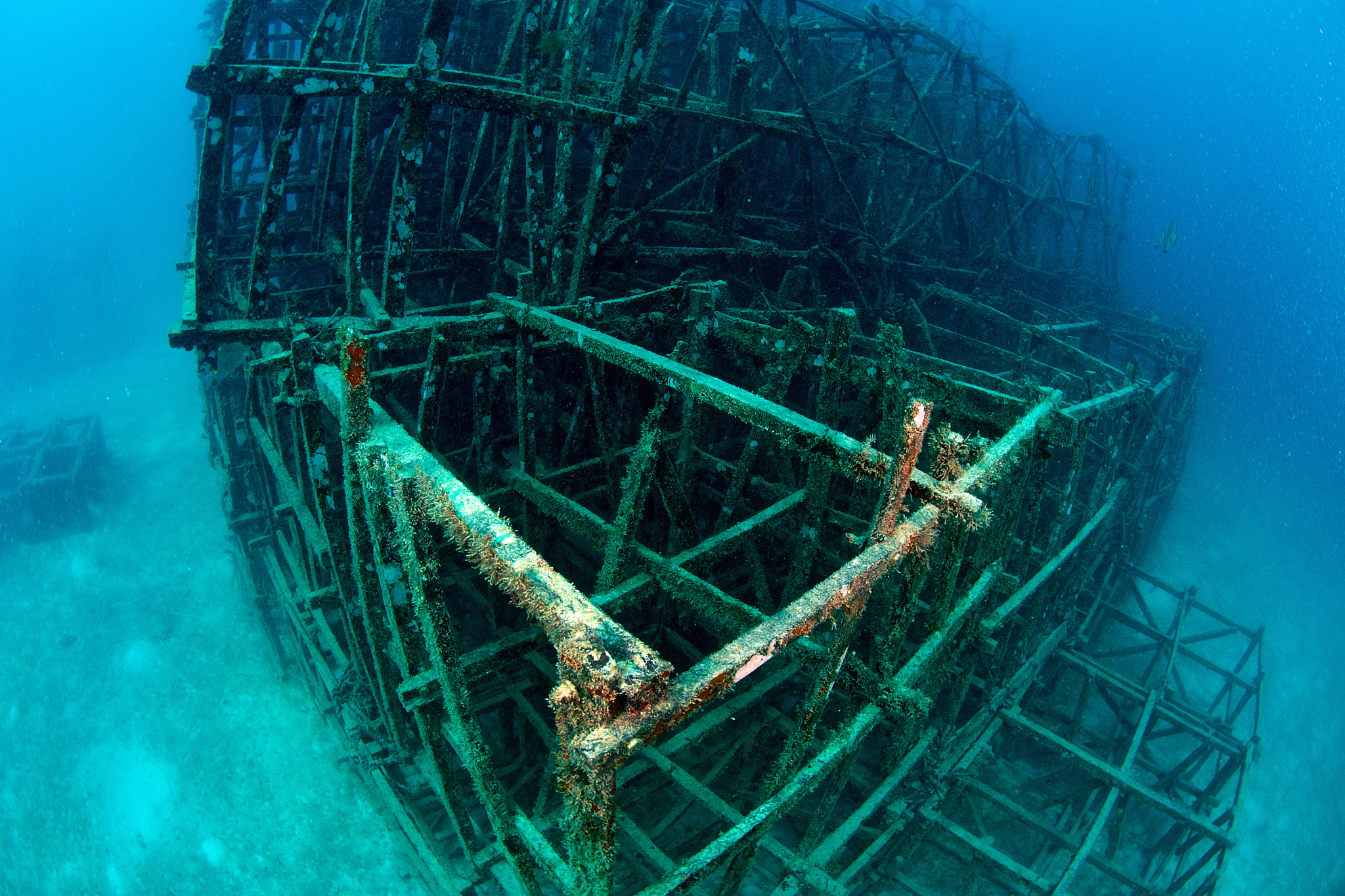 artificial reef in mabul, kapalai, malaysia