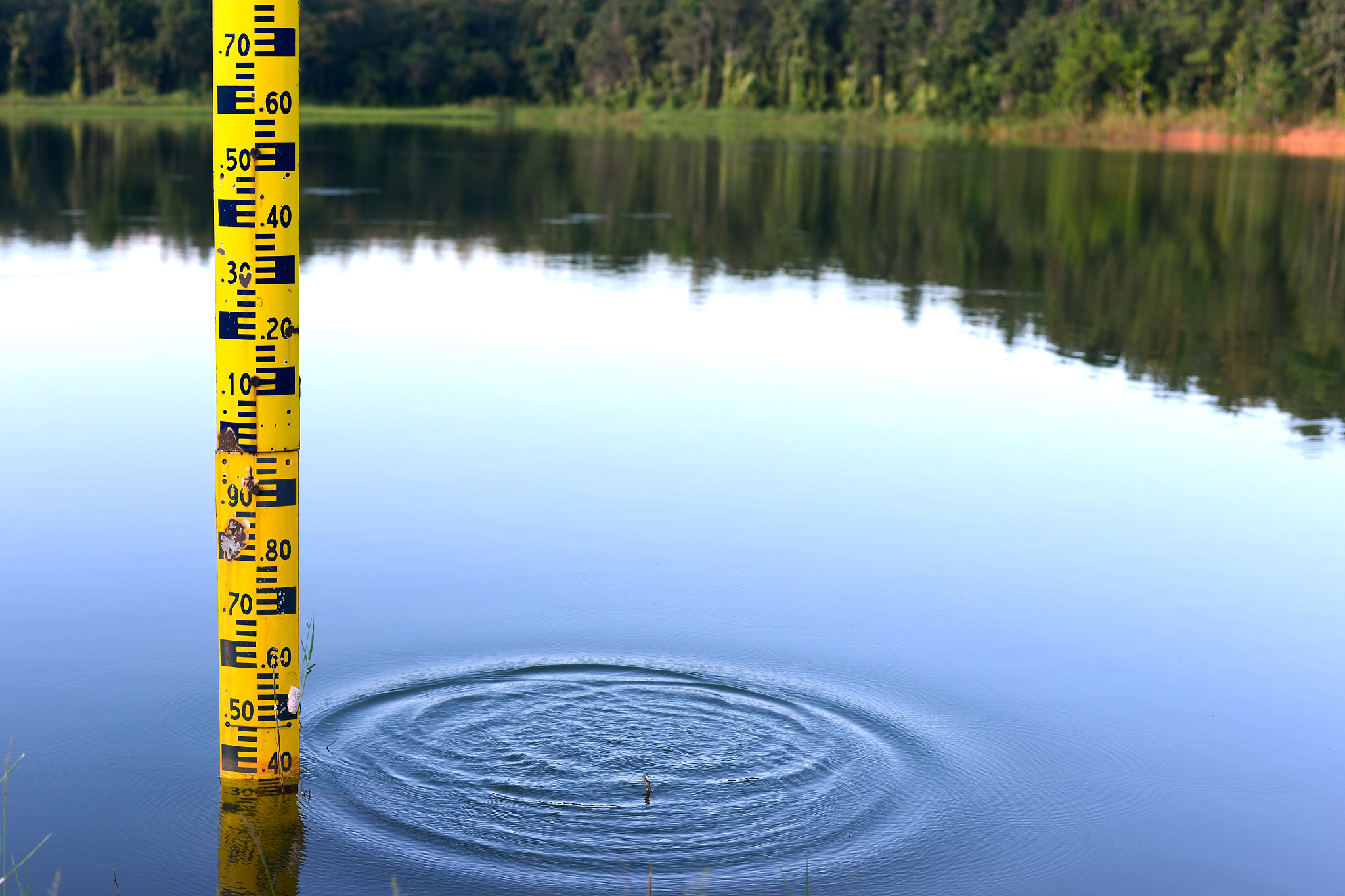 the water level