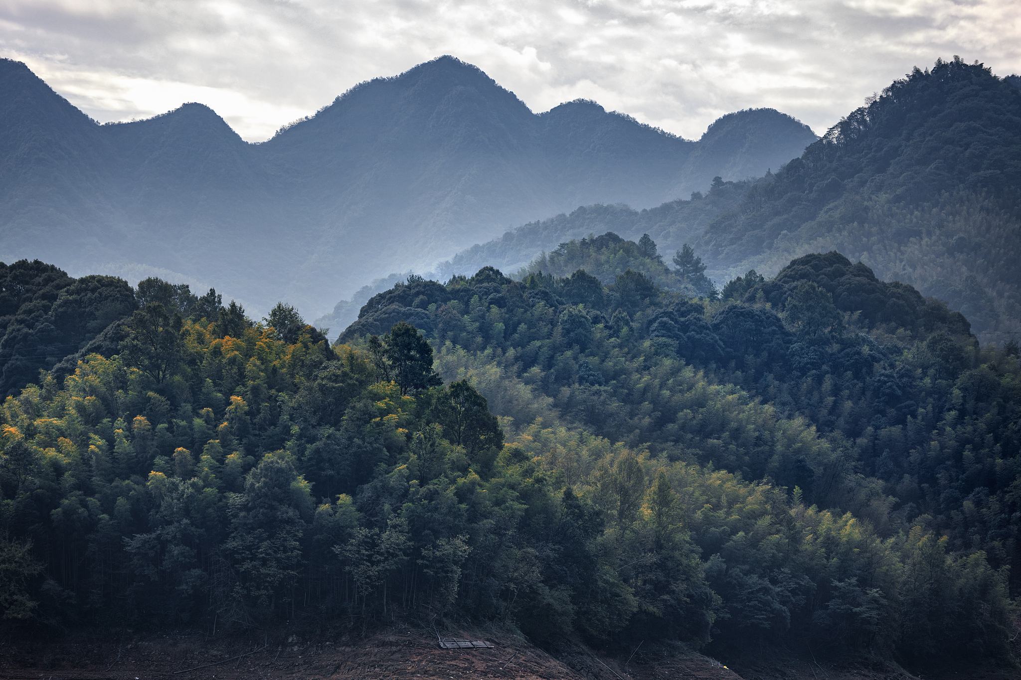 益阳市中专学校专业一览：热门专业、就业前景、发展方向