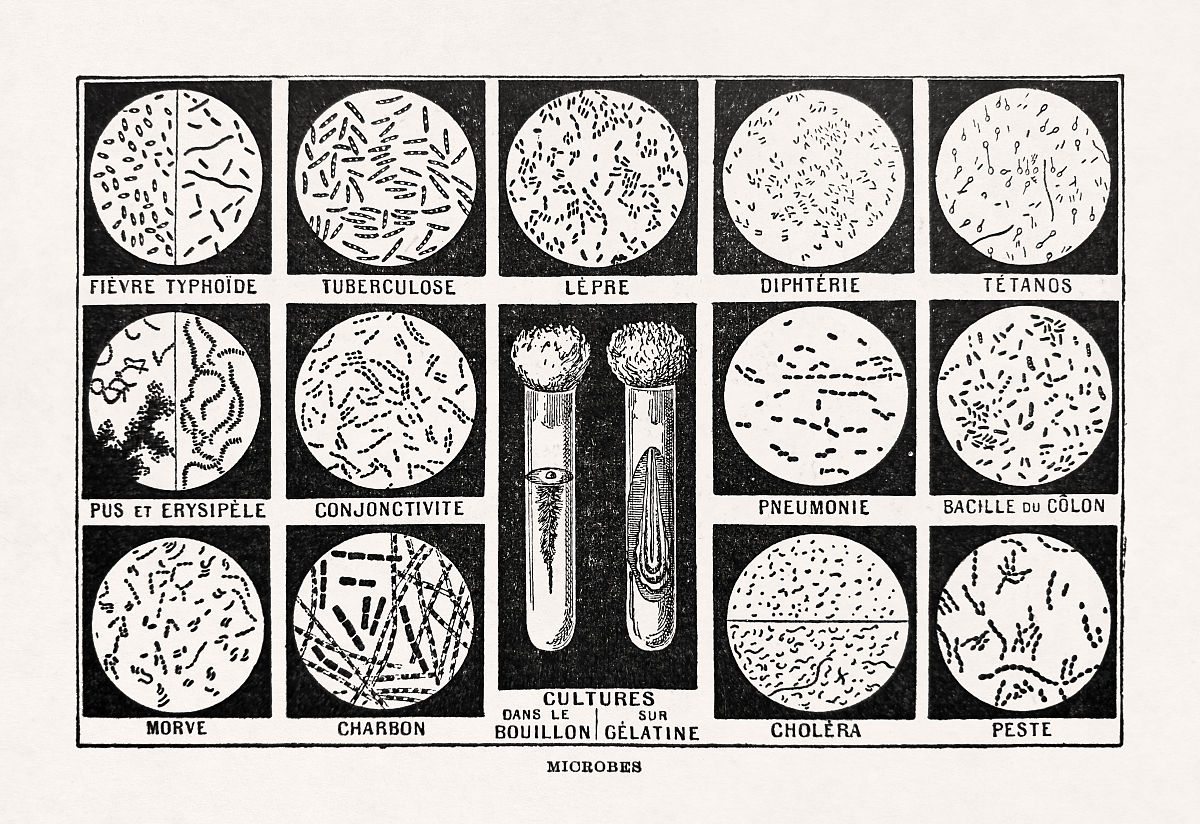 洛阳师范学院热门专业：教育、人文、自然科学及应用型专业