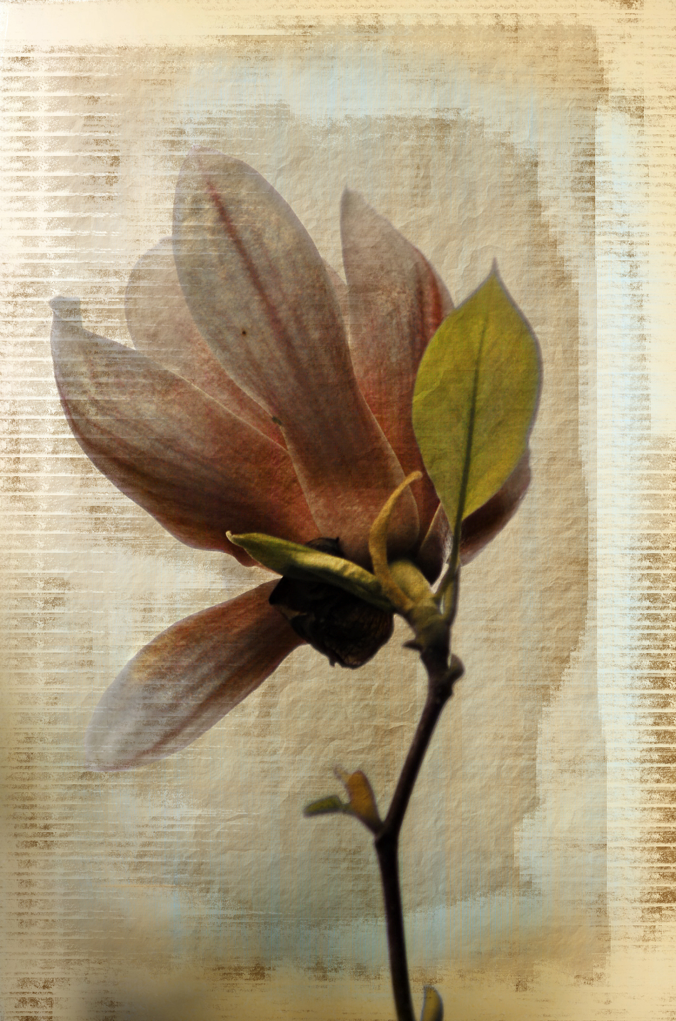 武汉中原通航技工学校美术绘画专业好不好？这个专业好不好？