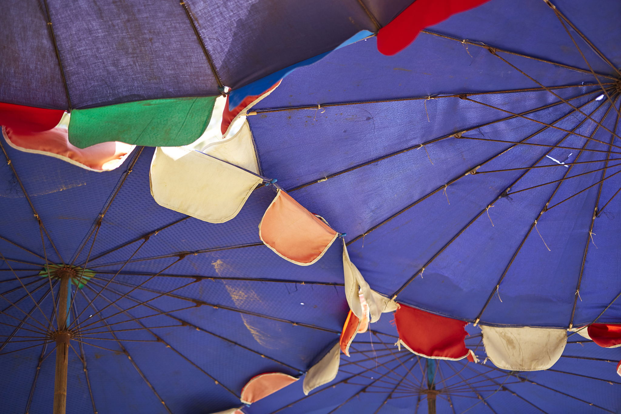 tropical scene of beach umbrella